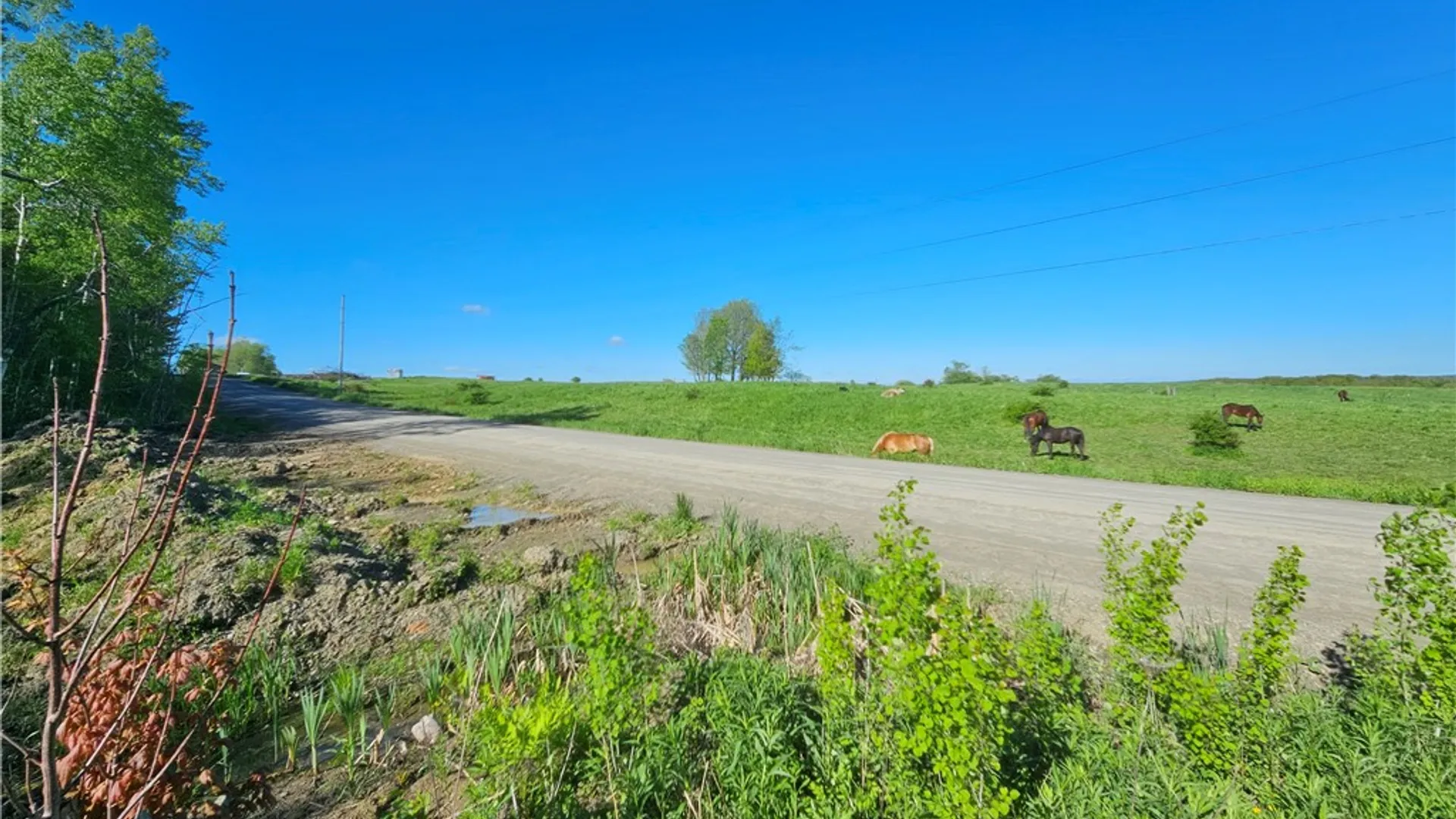 Property at 9593 Bull Hill Road, Wheeler, NY 14809 41