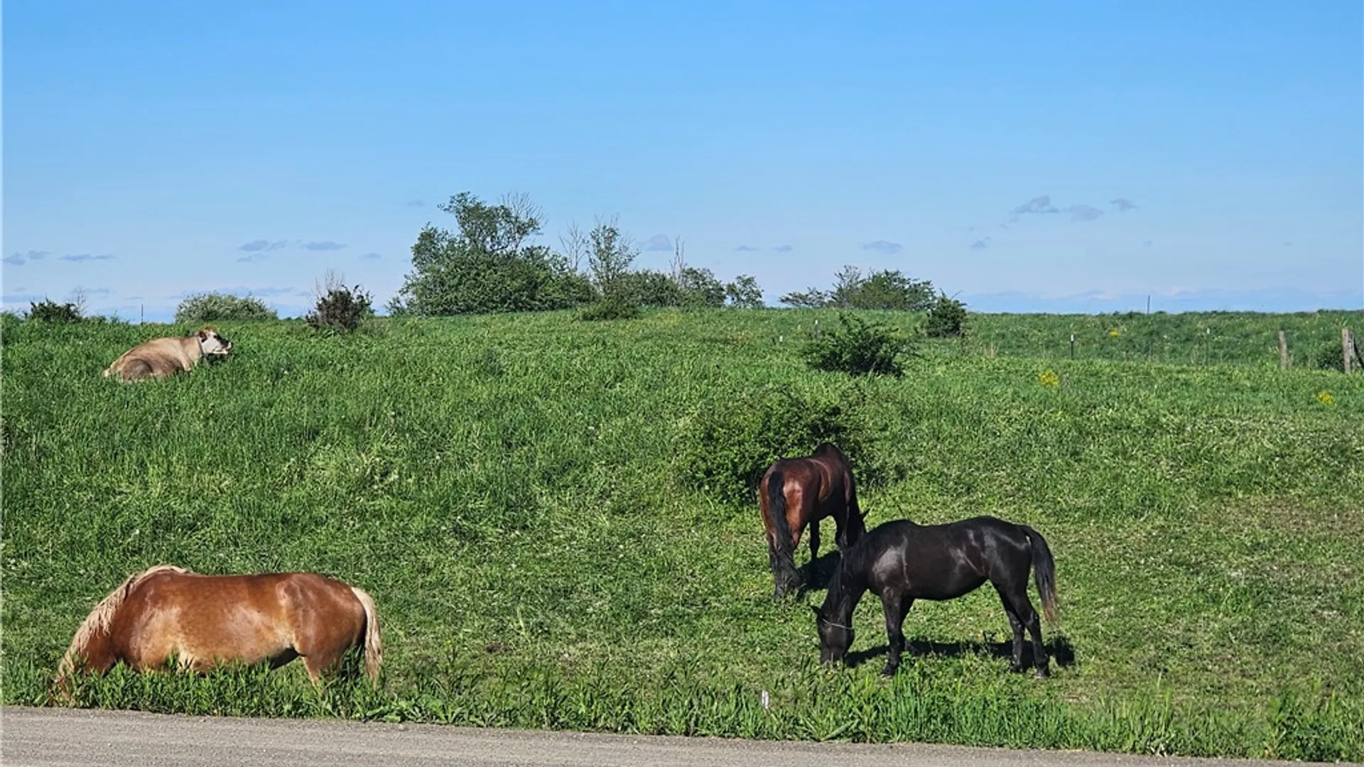 Property at 9593 Bull Hill Road, Wheeler, NY 14809 43