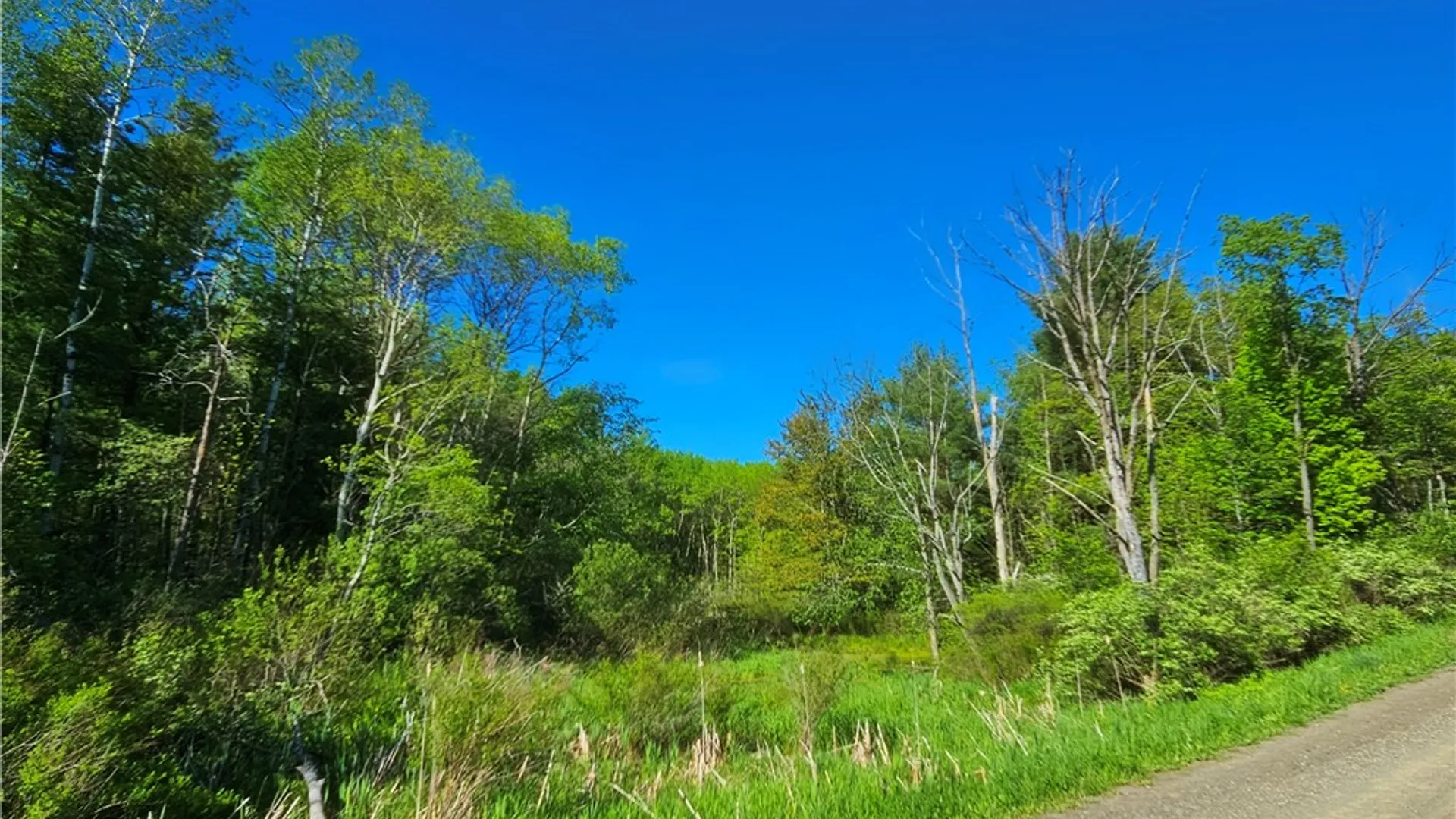 Property at 9593 Bull Hill Road, Wheeler, NY 14809 5