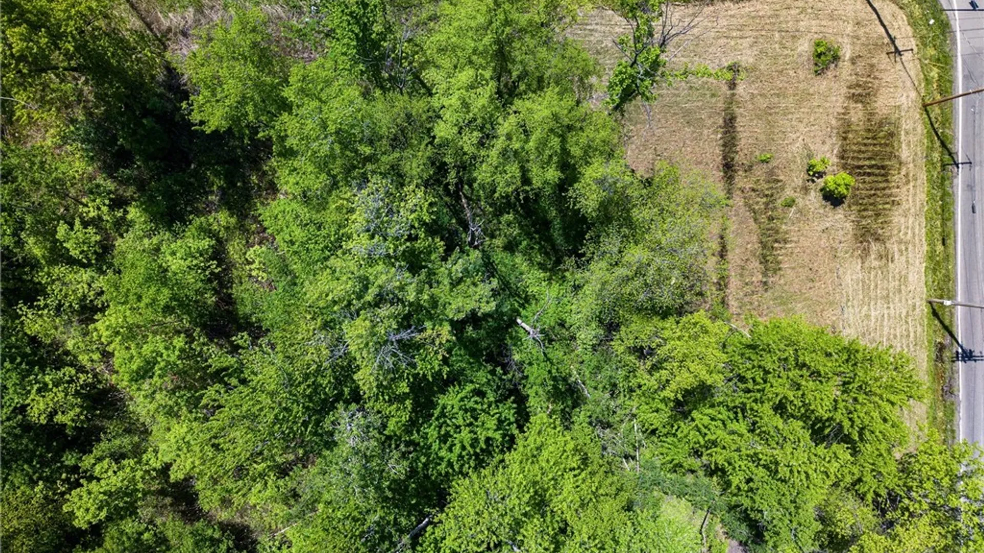 Property at 6859 Kirkville Road, DeWitt, NY 13057 29