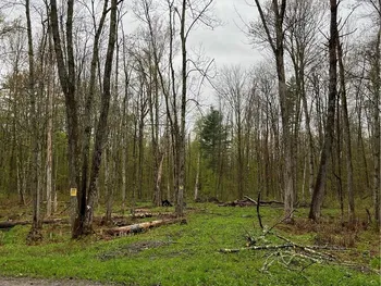 Property at 0 Chase Road, Florence, NY 13316