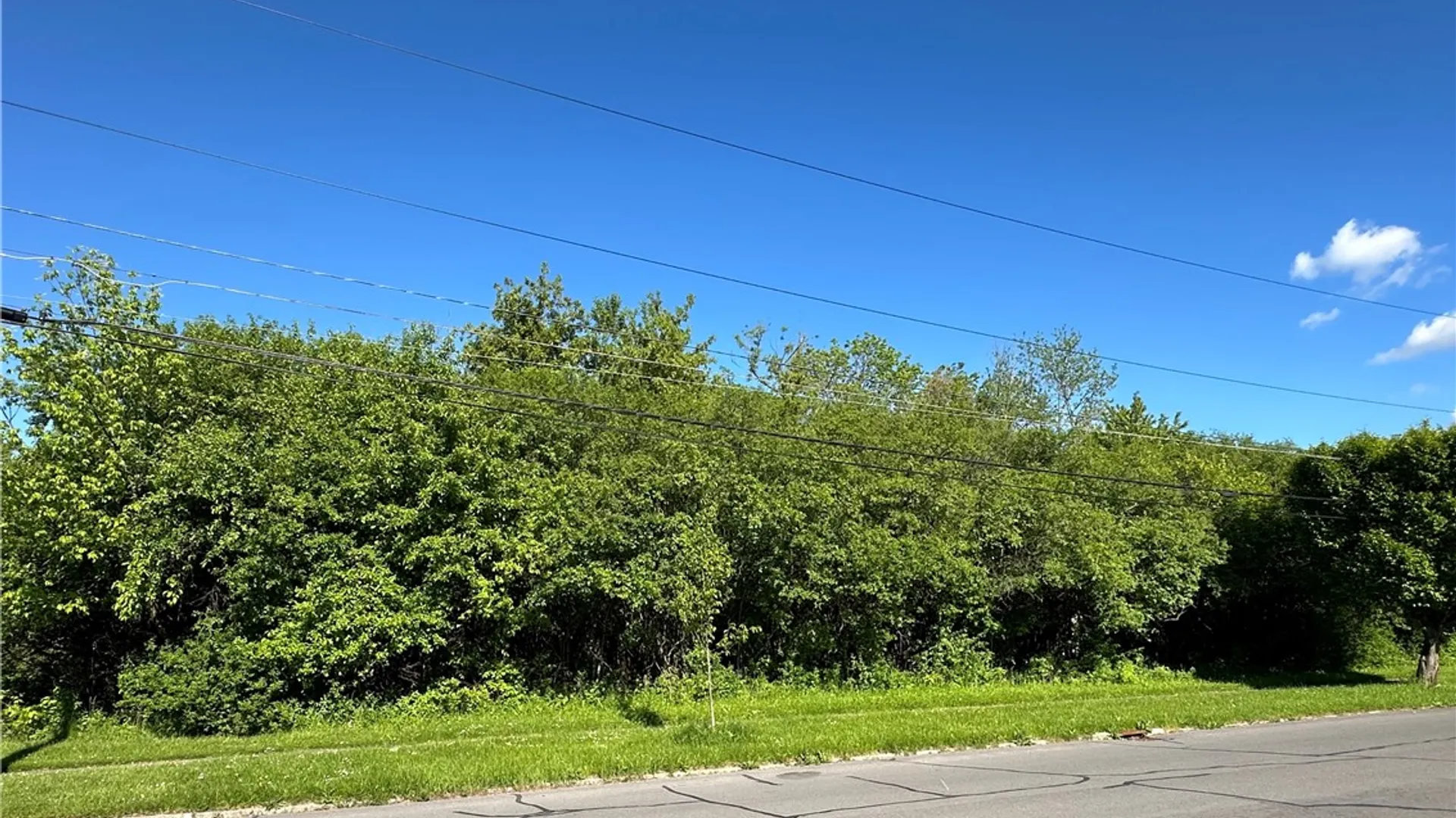 Property at 110 - 114 Garrow Street, Auburn, NY 13021 3