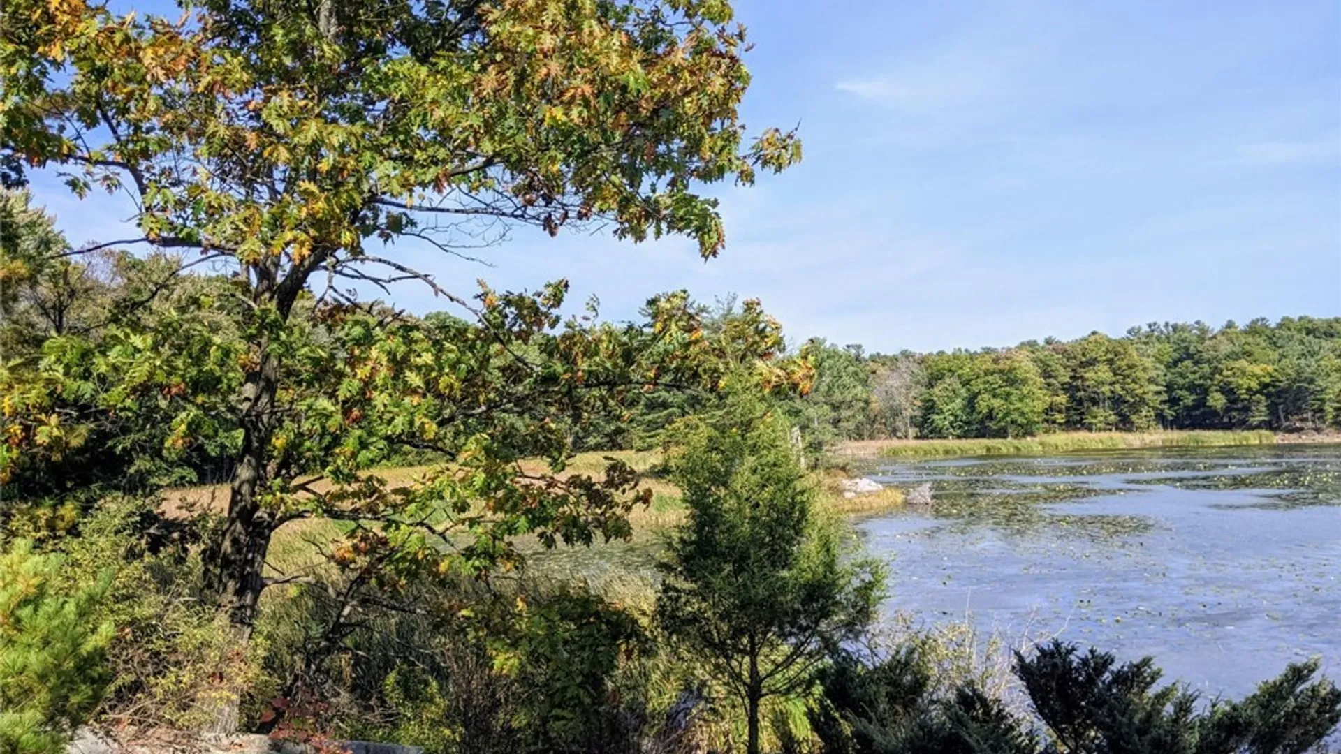 Property at 43206 Murray, Clayton, NY 13624 23