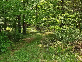 Property at 0 S Bonaparte Road, Diana, NY 13648