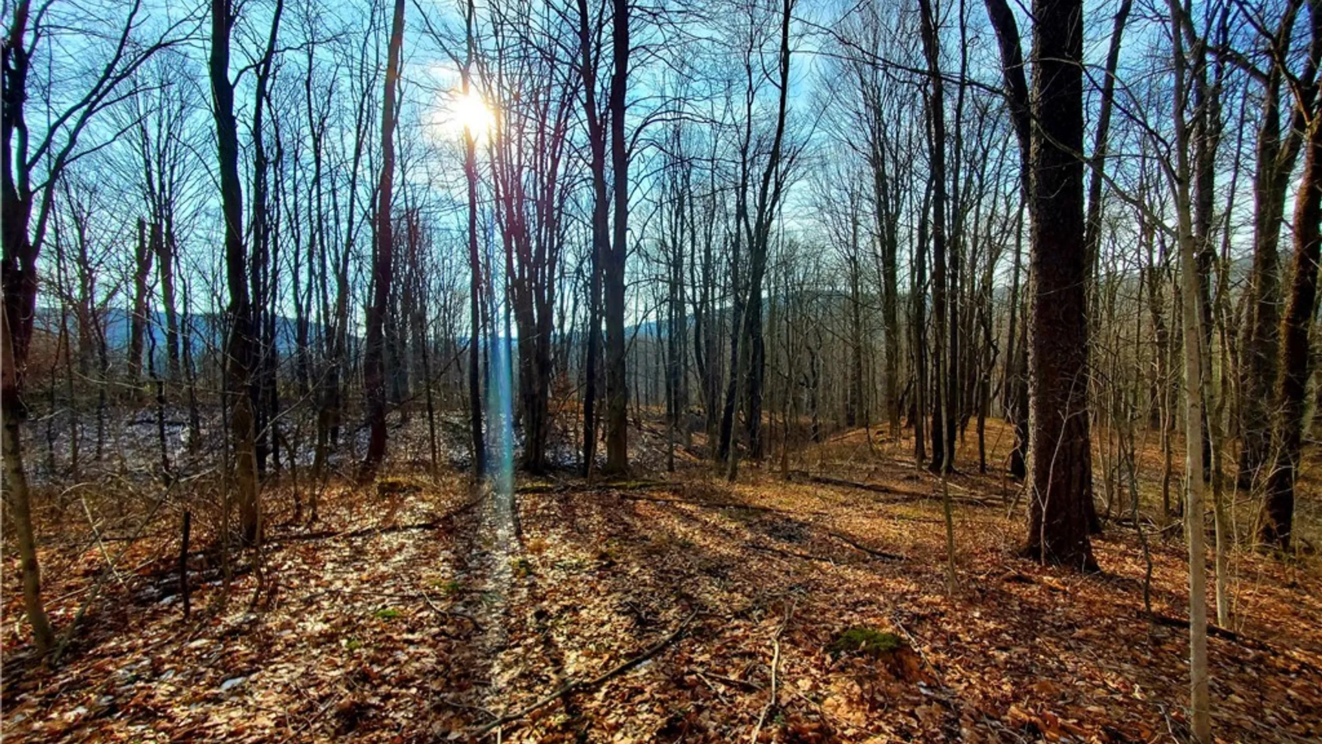 Property at 7200 Kent Road, Mansfield, NY 14731 13