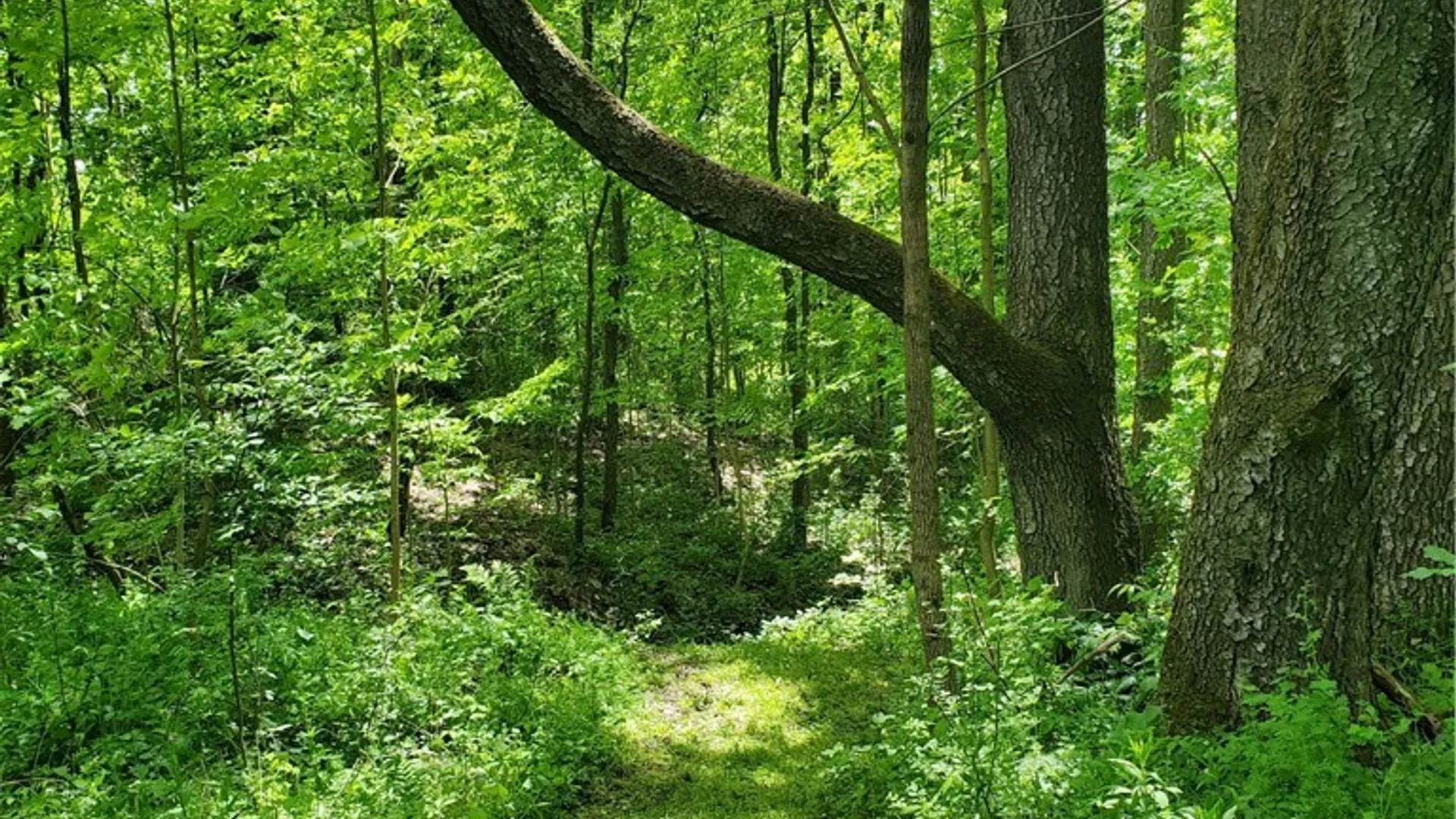 Property at 7200 Kent Road, Mansfield, NY 14731 14