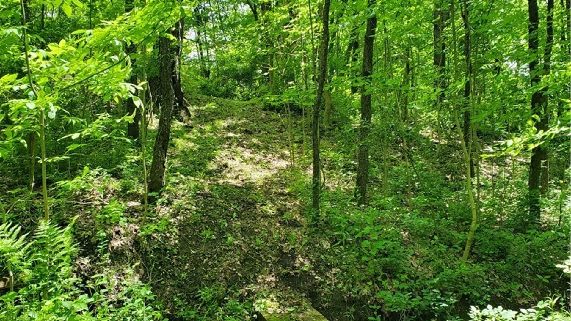 Property at 7200 Kent Road, Mansfield, NY 14731 15