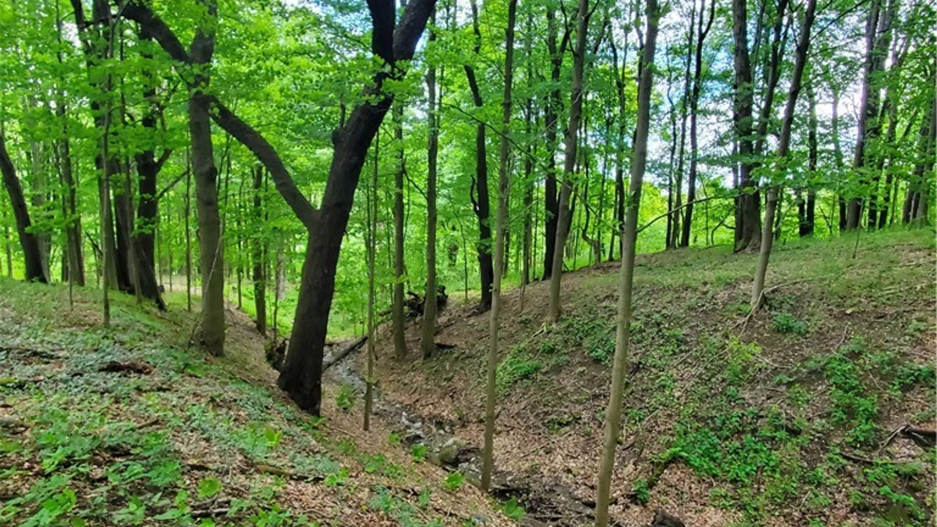 Property at 7200 Kent Road, Mansfield, NY 14731 17