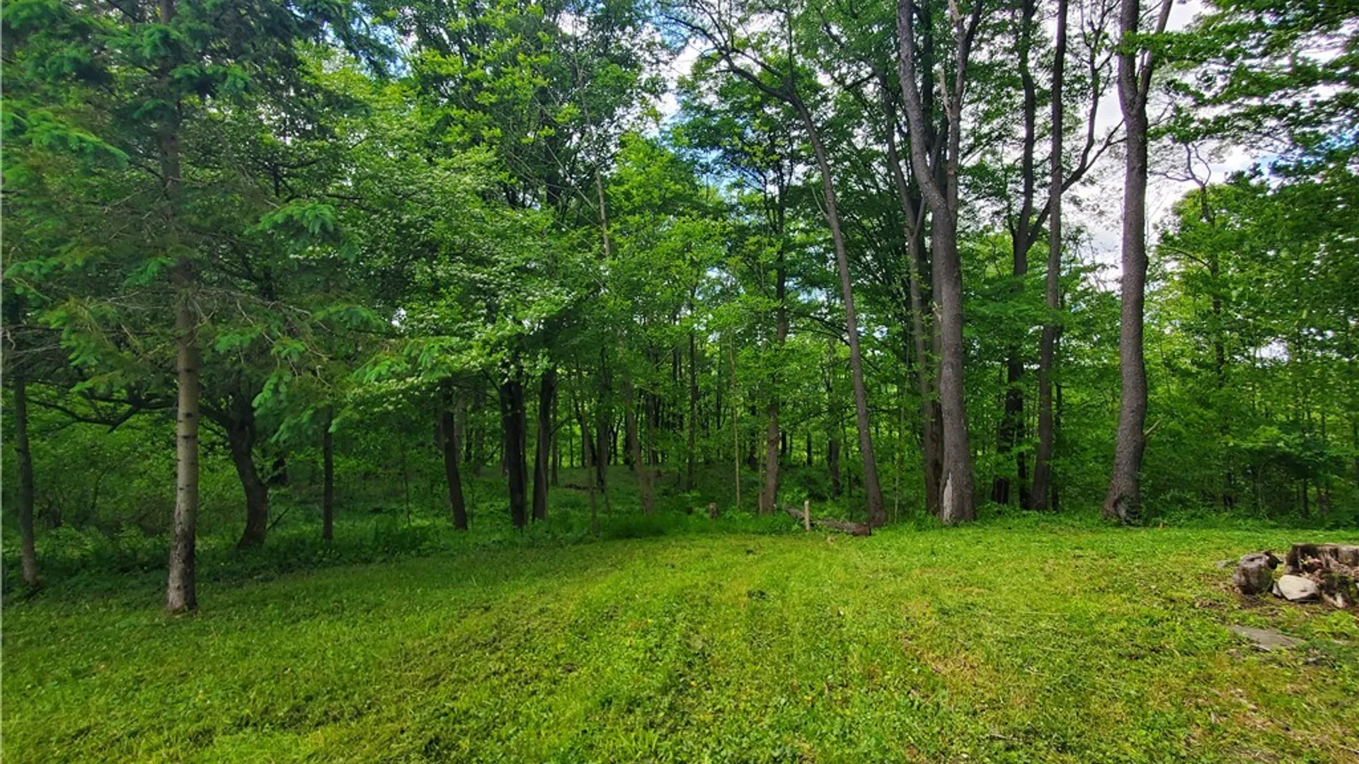 Property at 7200 Kent Road, Mansfield, NY 14731 19