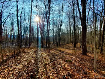 7200 Kent Road, Mansfield, NY 14731