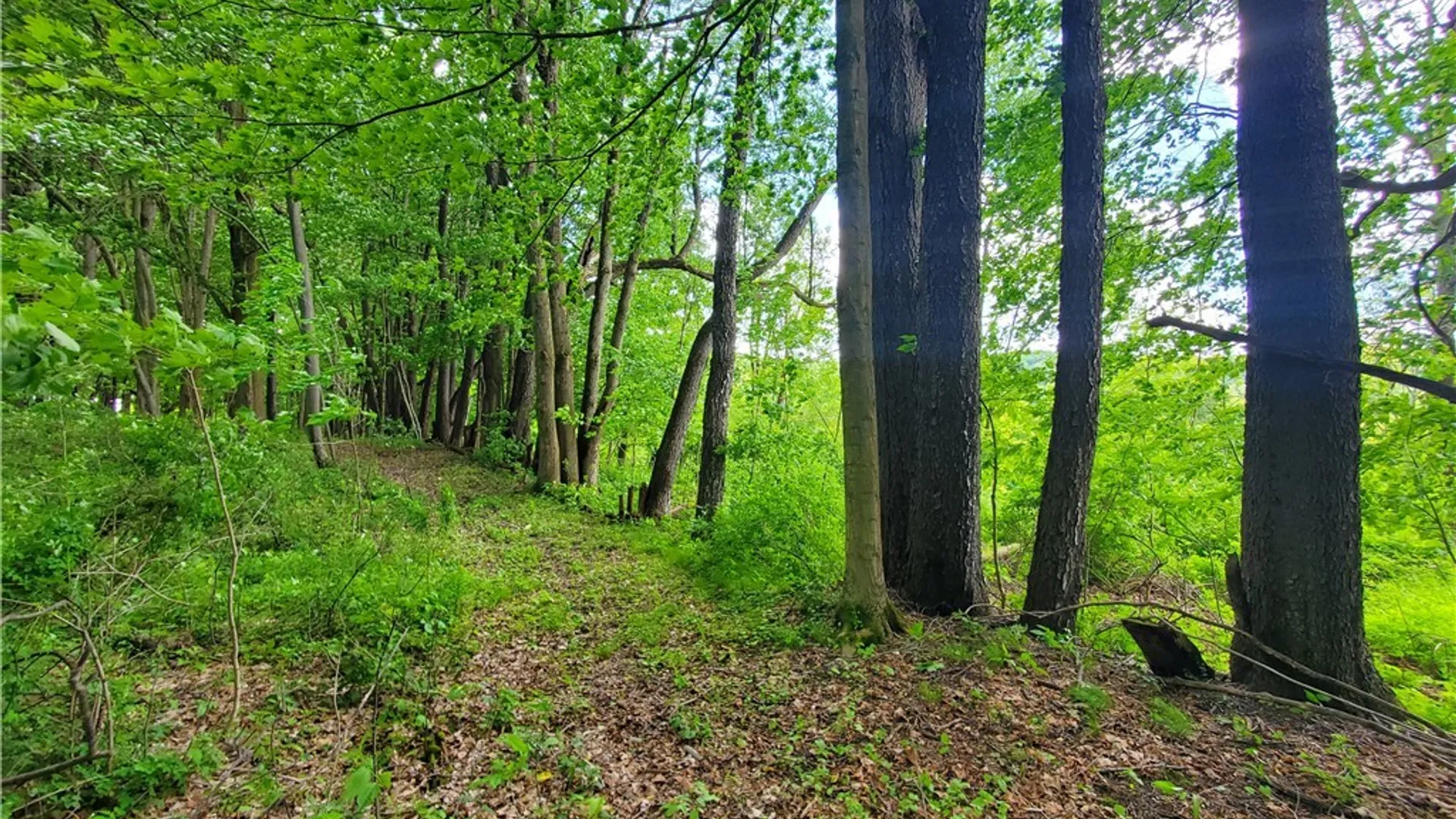 Property at 7200 Kent Road, Mansfield, NY 14731 26