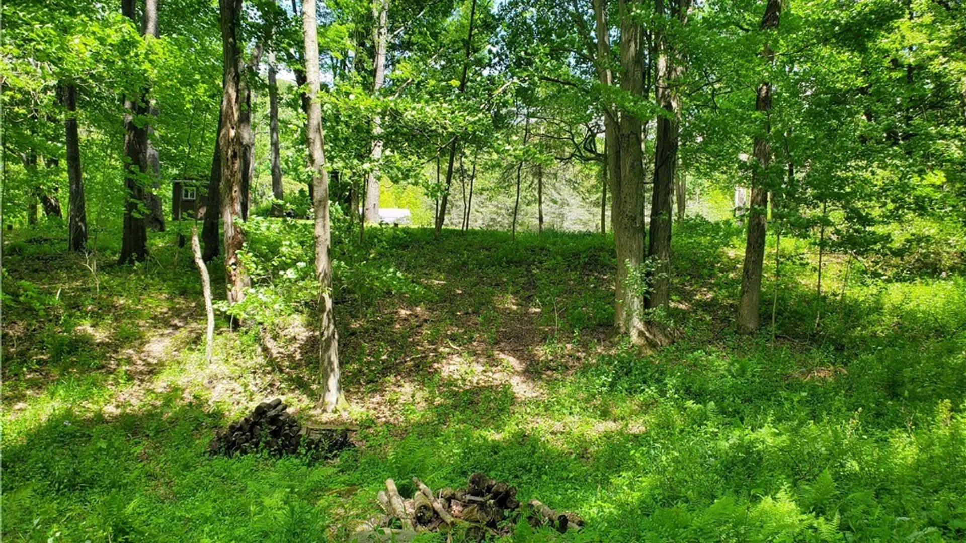 Property at 7200 Kent Road, Mansfield, NY 14731 29