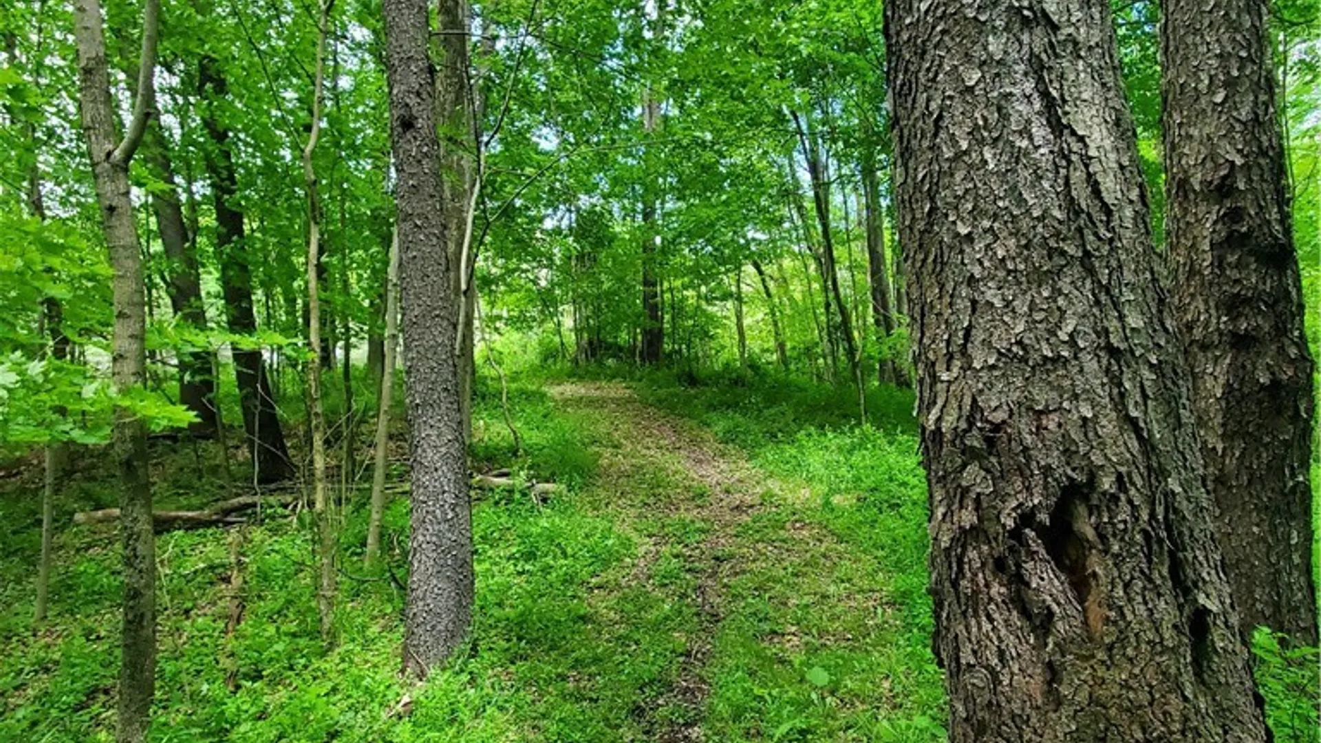 Property at 7200 Kent Road, Mansfield, NY 14731 31