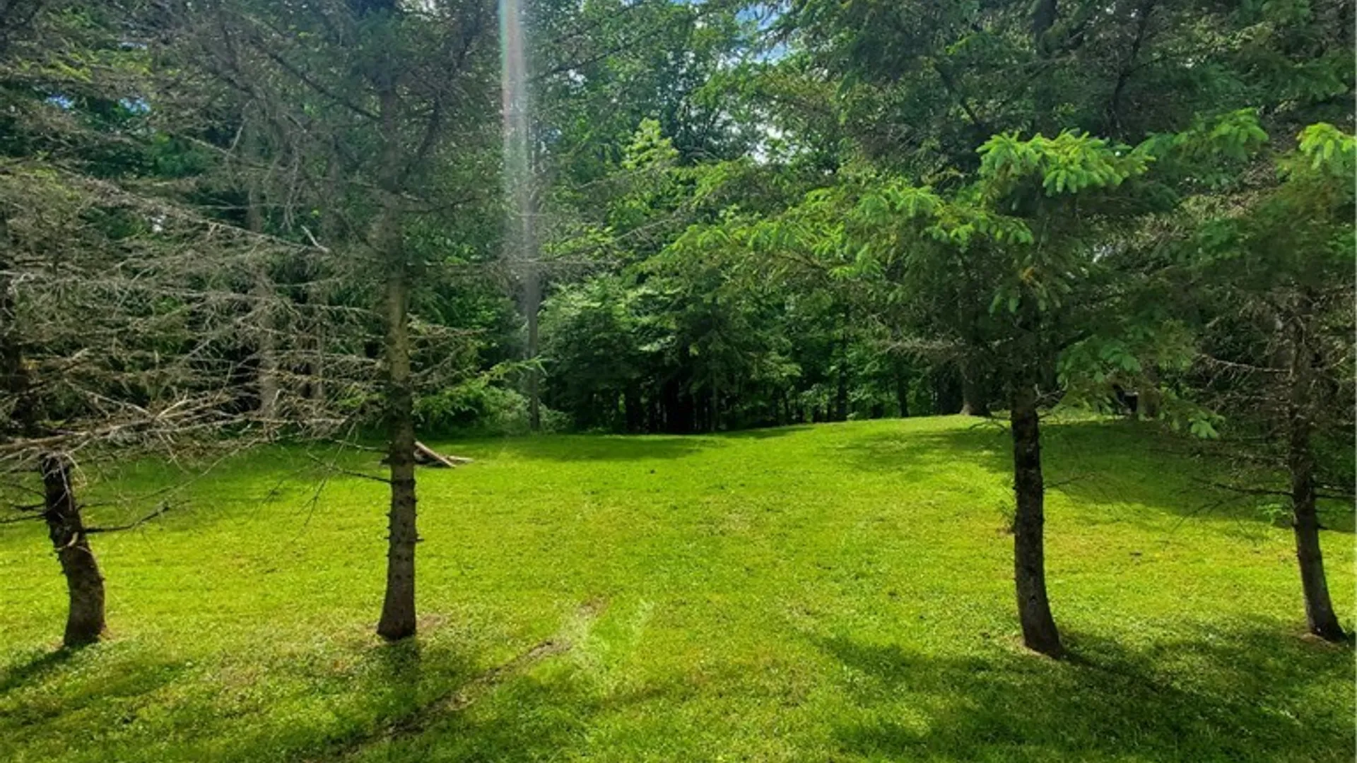 Property at 7200 Kent Road, Mansfield, NY 14731 37