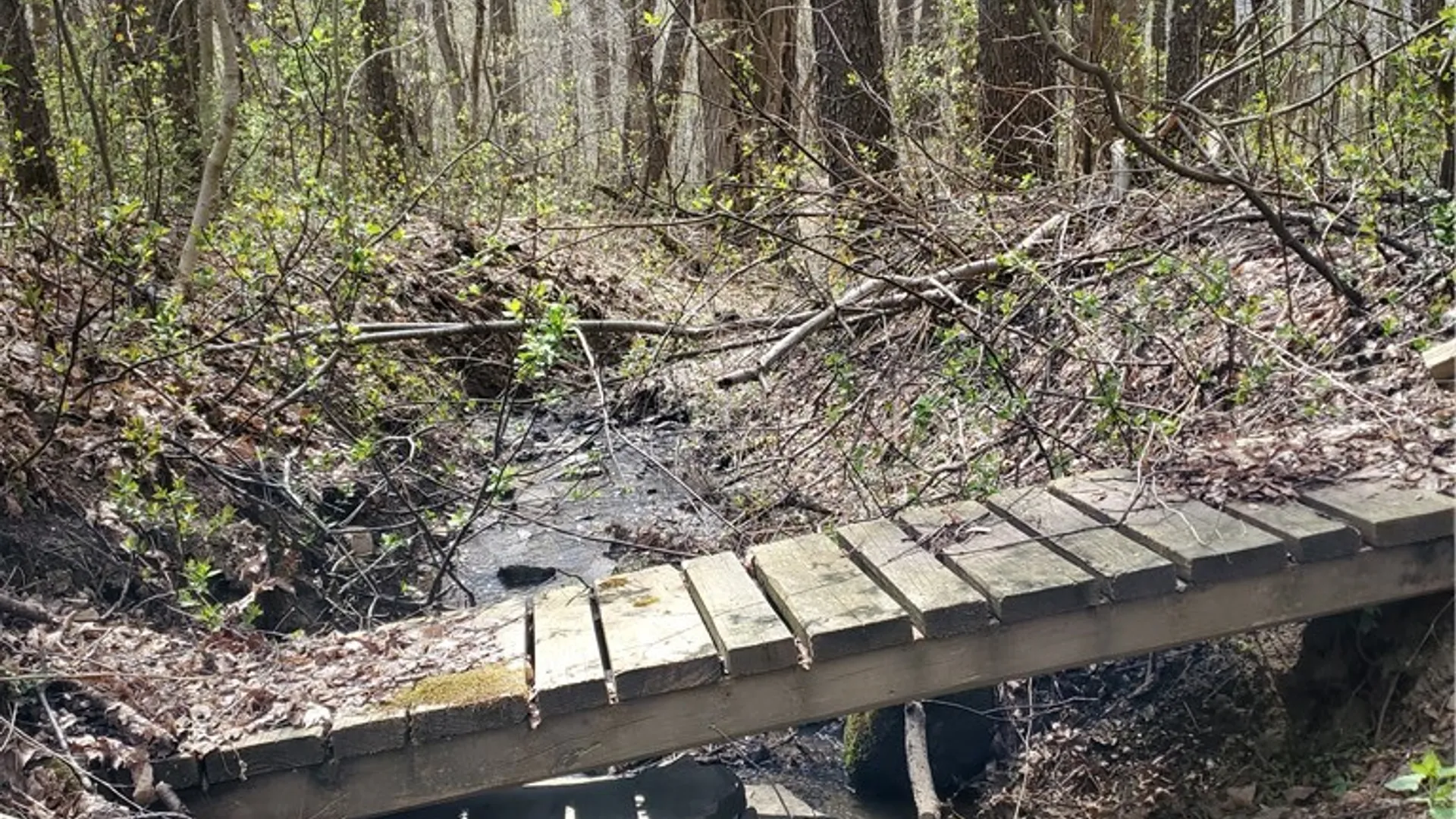 Property at 7200 Kent Road, Mansfield, NY 14731 4