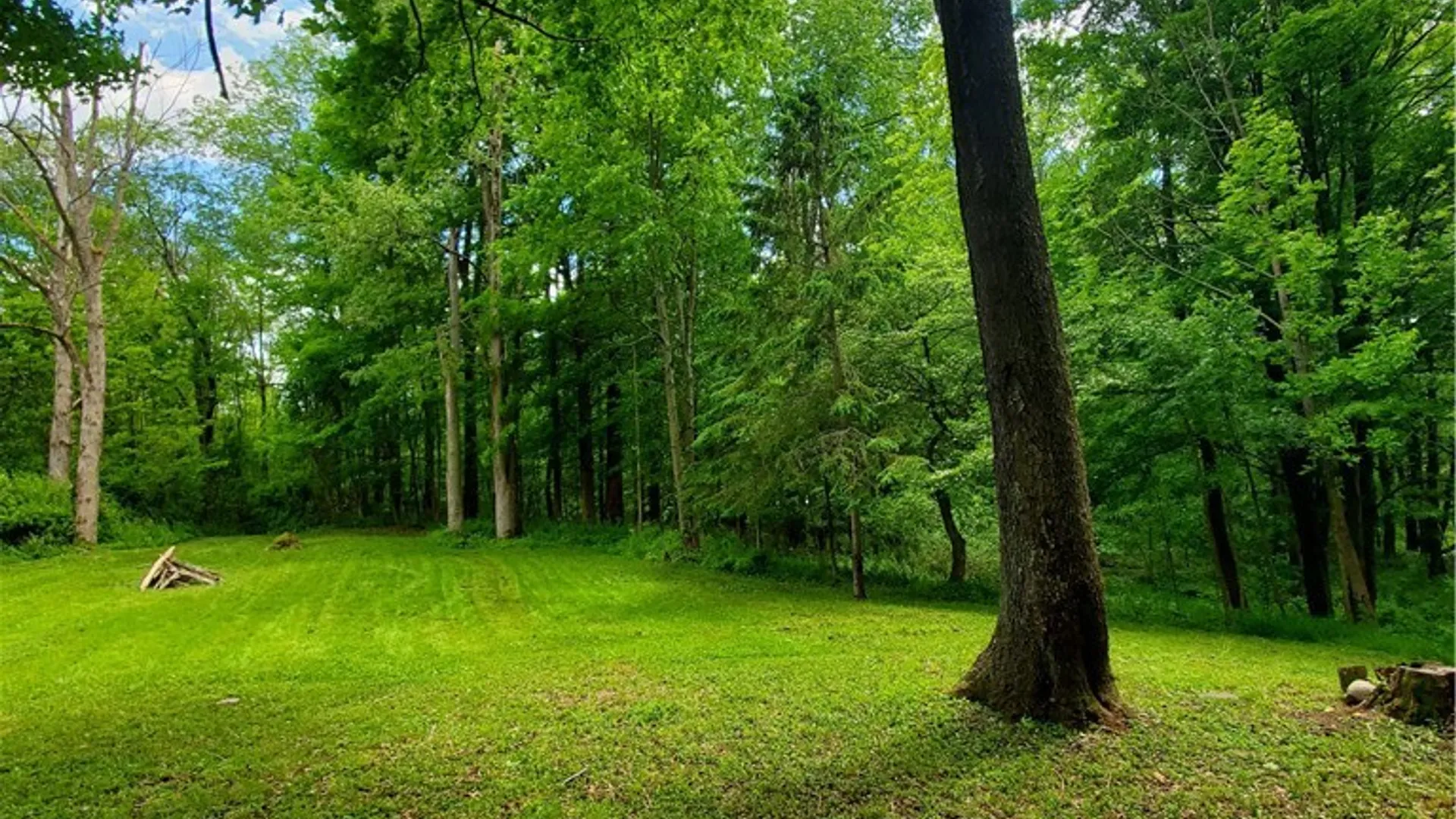 Property at 7200 Kent Road, Mansfield, NY 14731 41