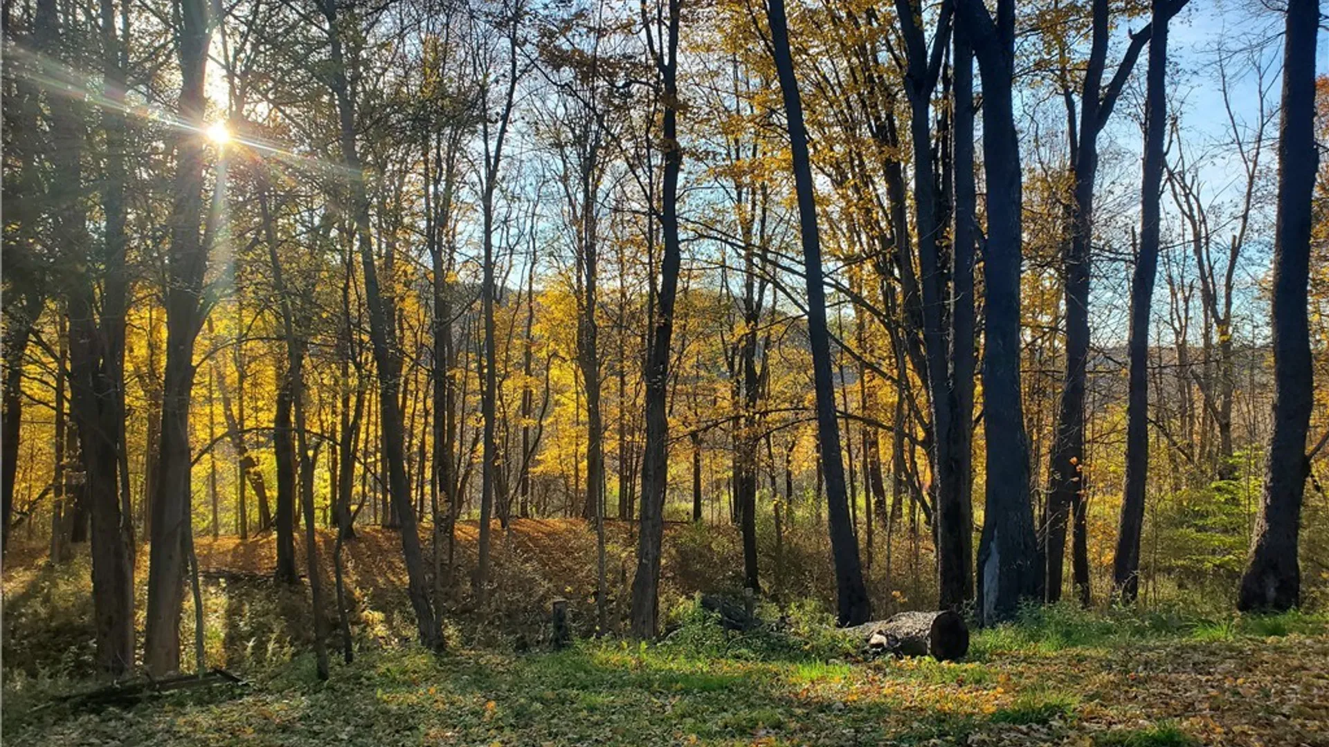 Property at 7200 Kent Road, Mansfield, NY 14731 7