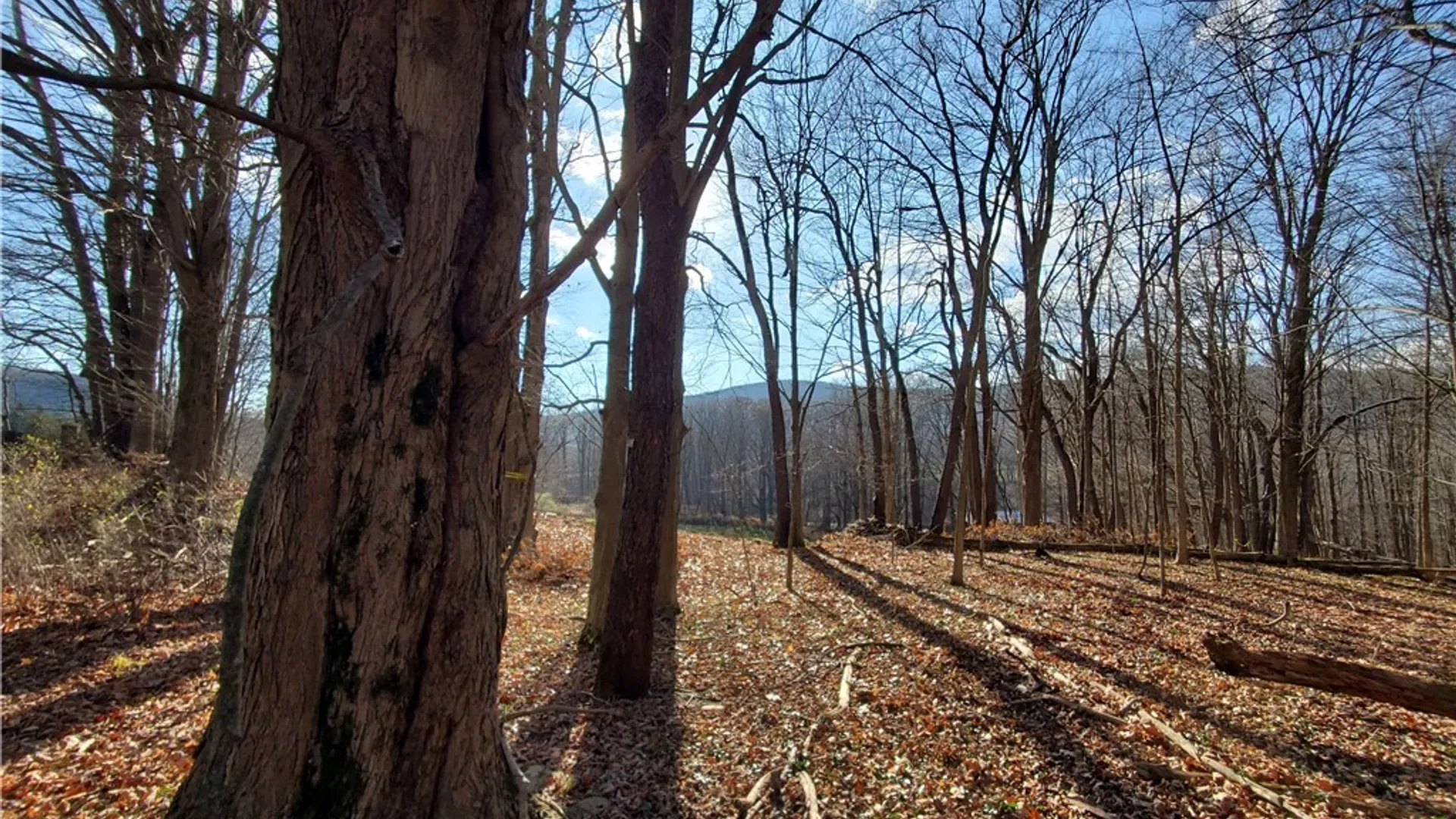 Property at 7200 Kent Road, Mansfield, NY 14731 8