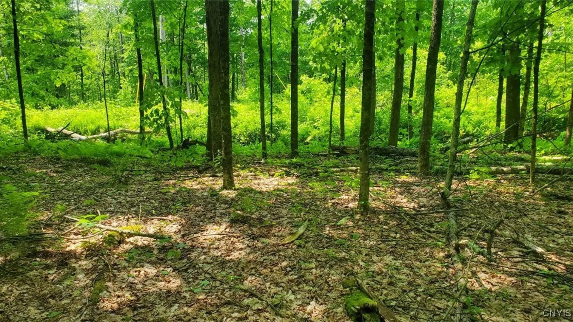 Property at 00 Kiwanis Road, Lee, NY 13440 3