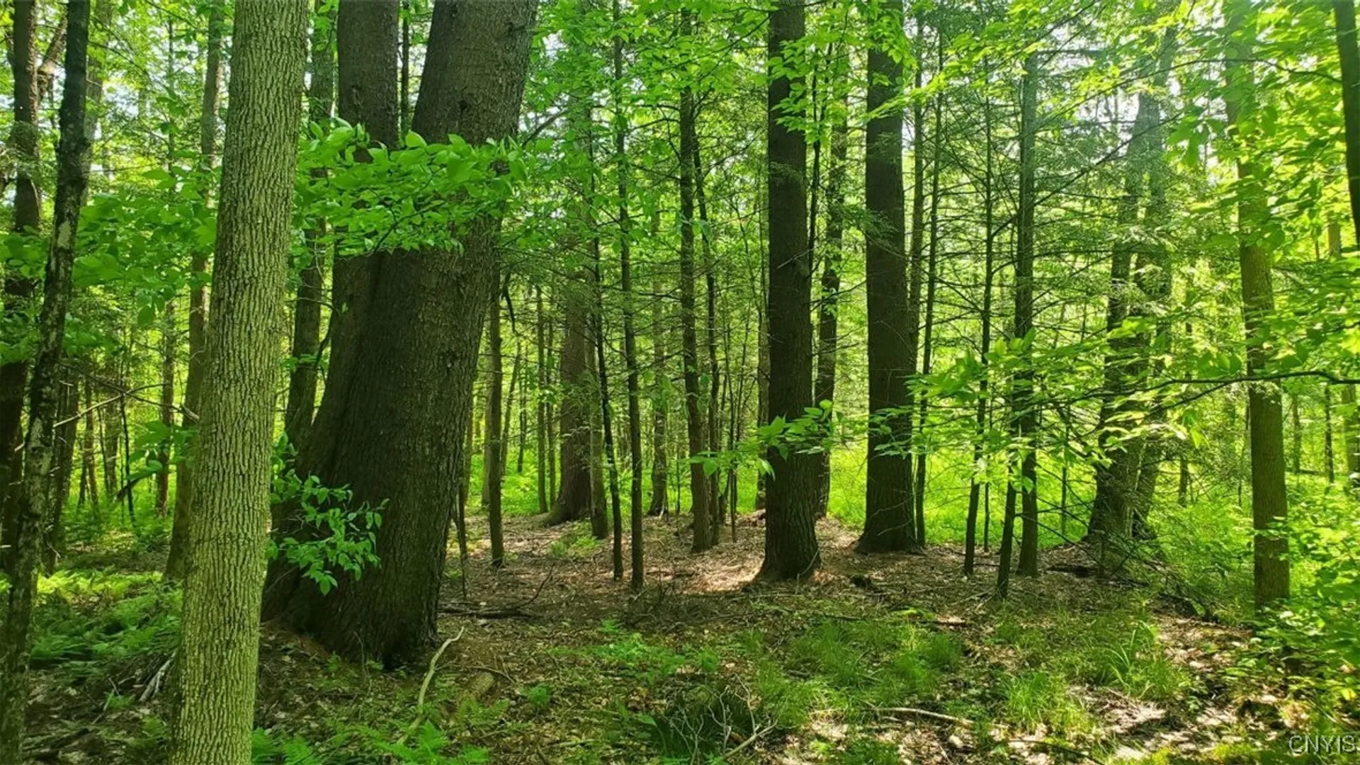 Property at 00 Kiwanis Road, Lee, NY 13440 6