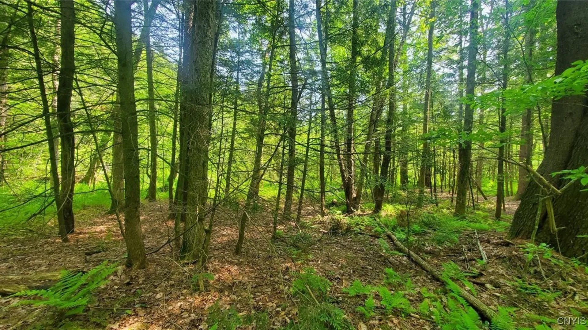 Property at 00 Kiwanis Road, Lee, NY 13440 7