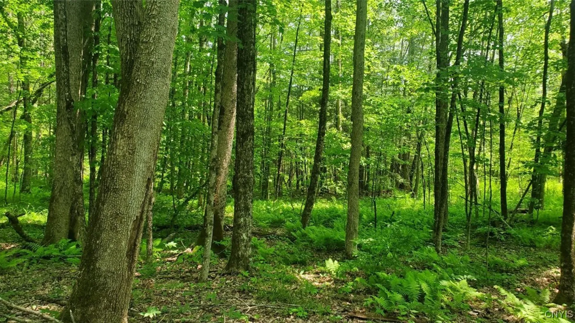 Property at 00 Kiwanis Road, Lee, NY 13440 8