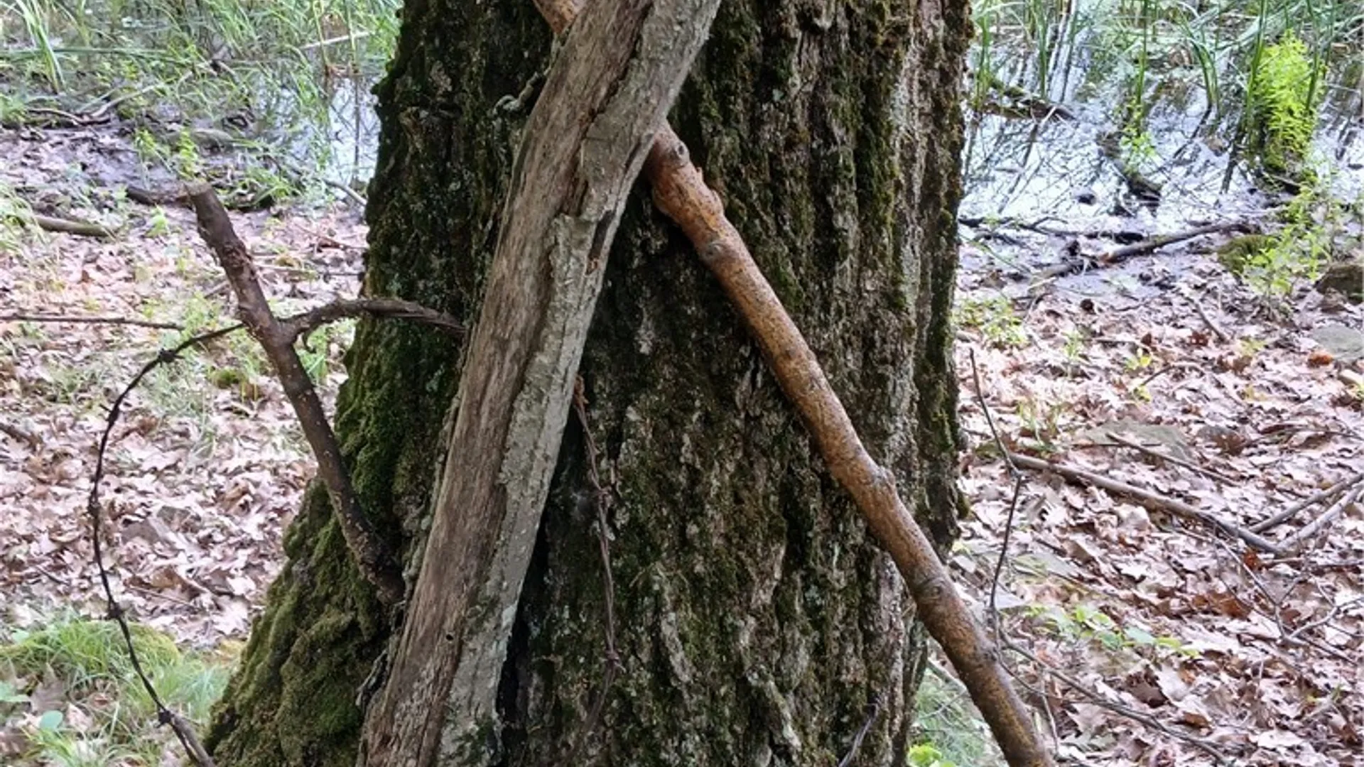 Property at 43206 Murray, Clayton, NY 13624 42