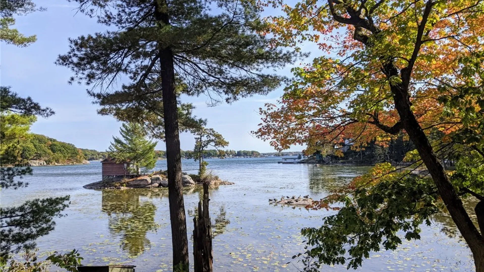 Property at 43206 Murray, Clayton, NY 13624 5