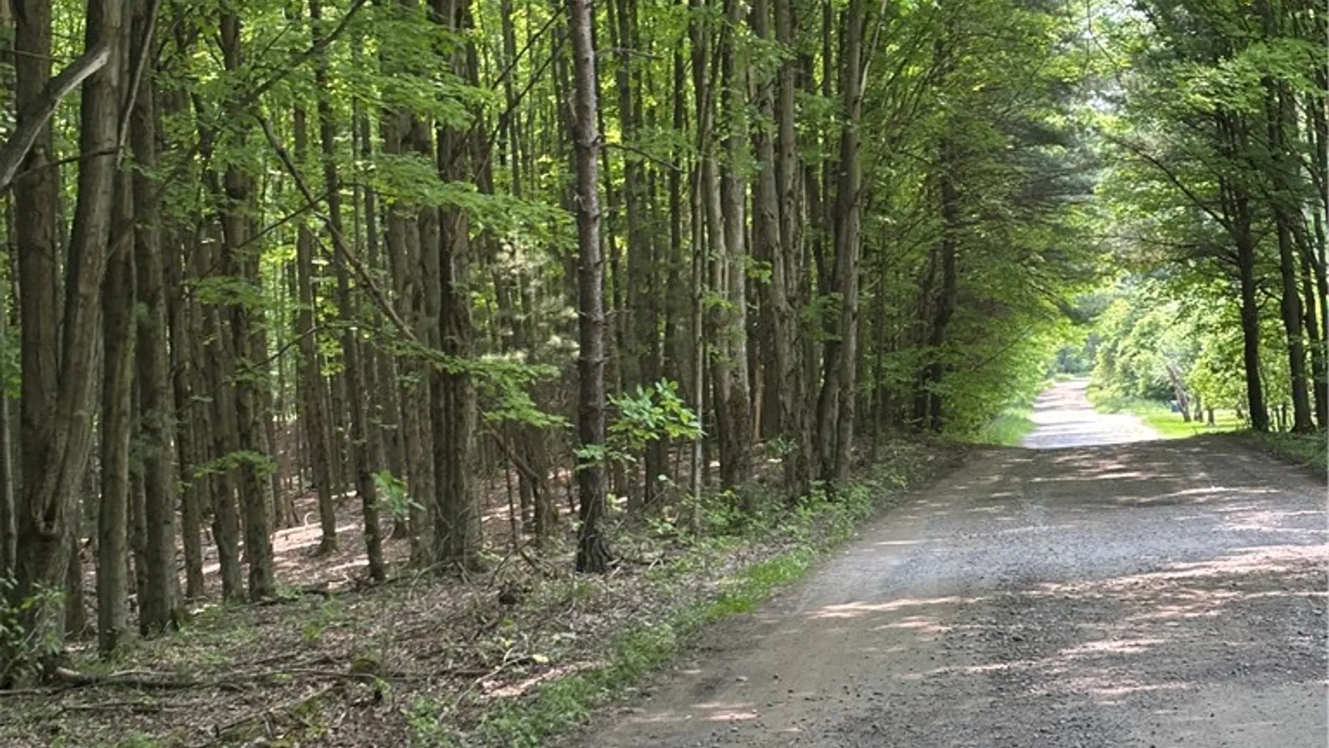 Property at Spring Road, Ossian, NY 14437 11