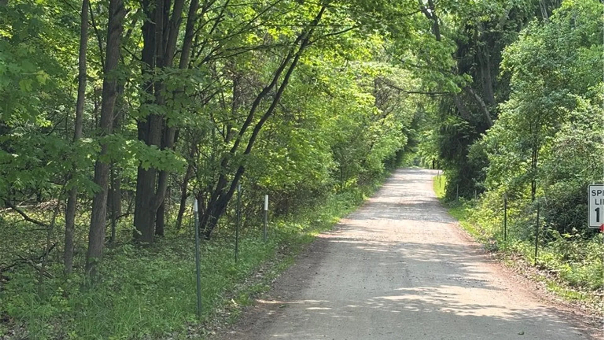 Property at Spring Road, Ossian, NY 14437 12