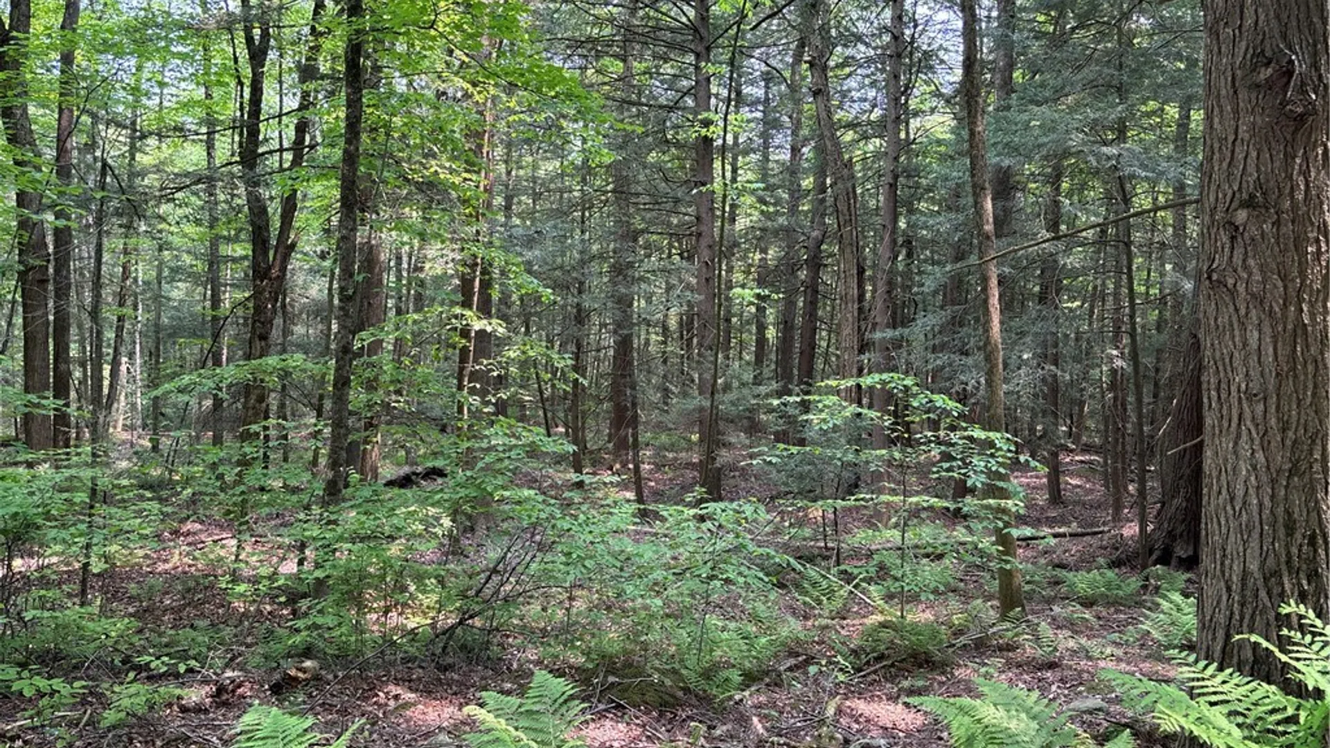 Property at Spring Road, Ossian, NY 14437 2