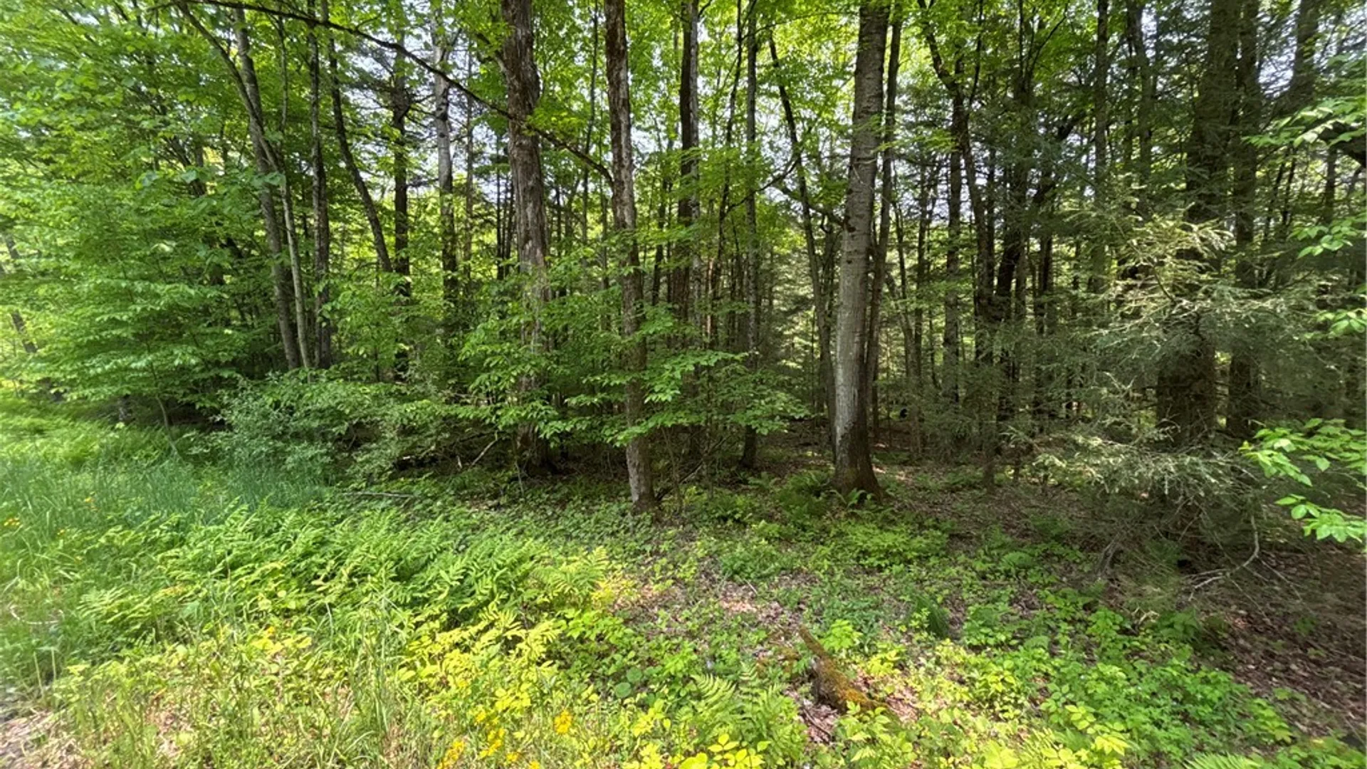 Property at Spring Road, Ossian, NY 14437 4