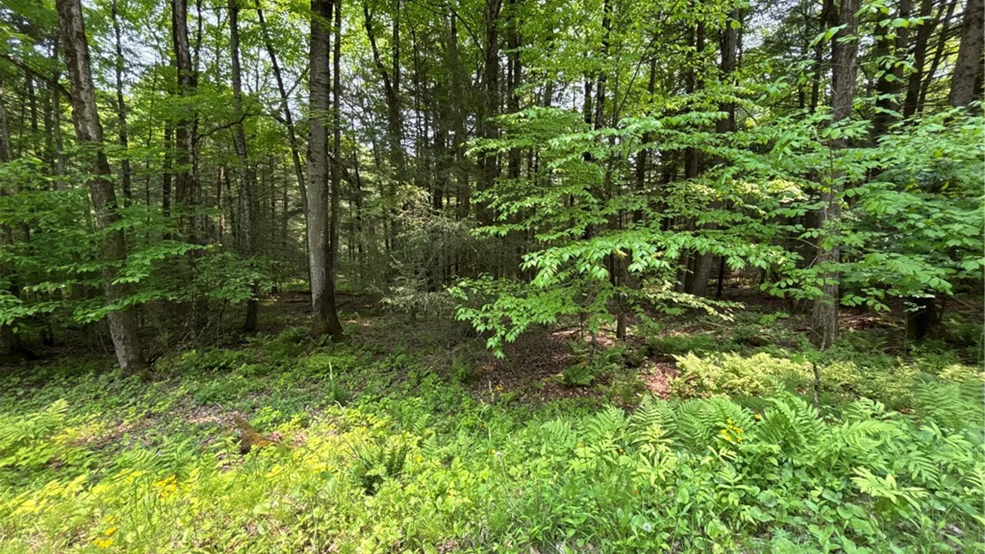 Property at Spring Road, Ossian, NY 14437 5