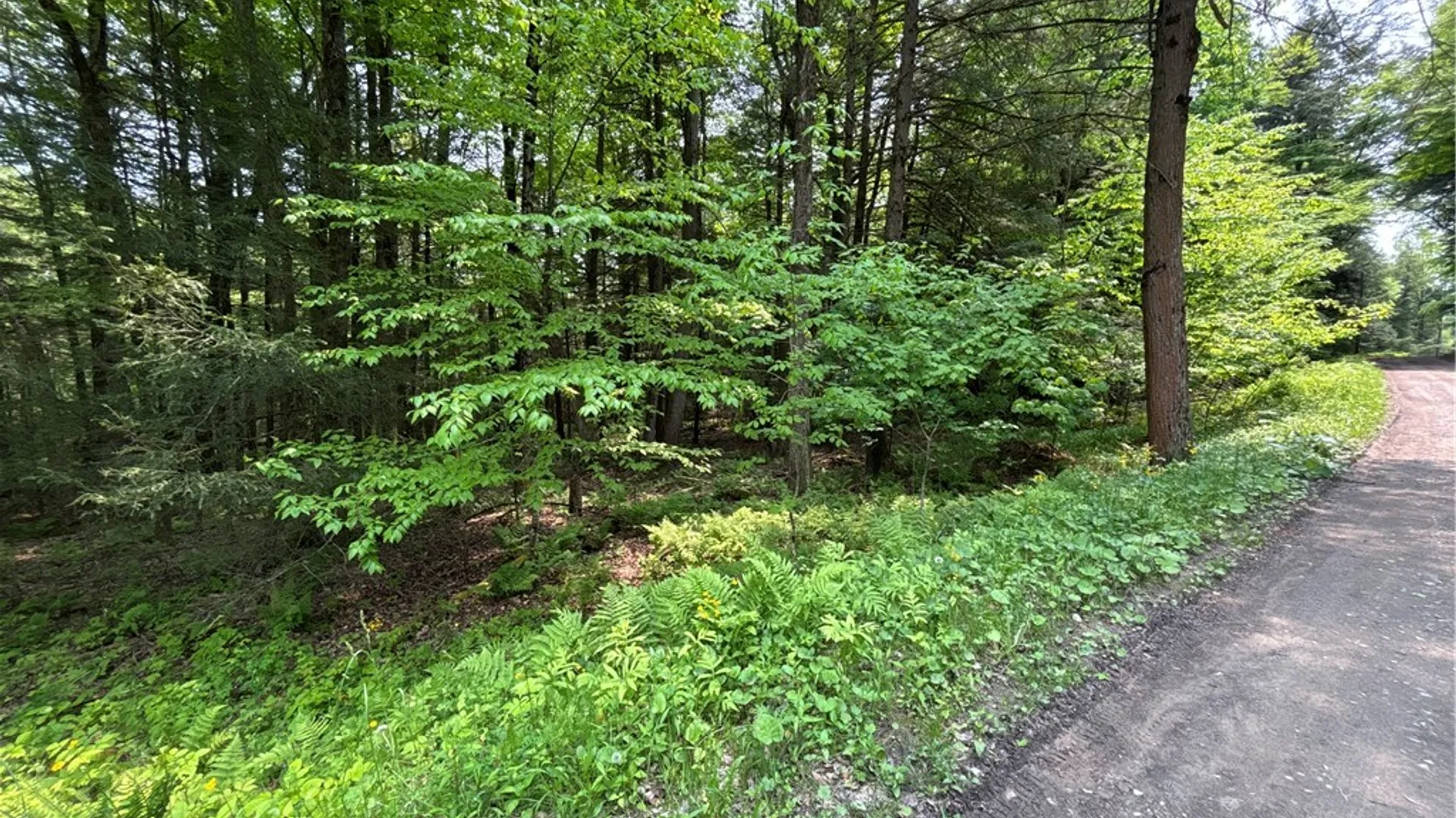 Property at Spring Road, Ossian, NY 14437 6