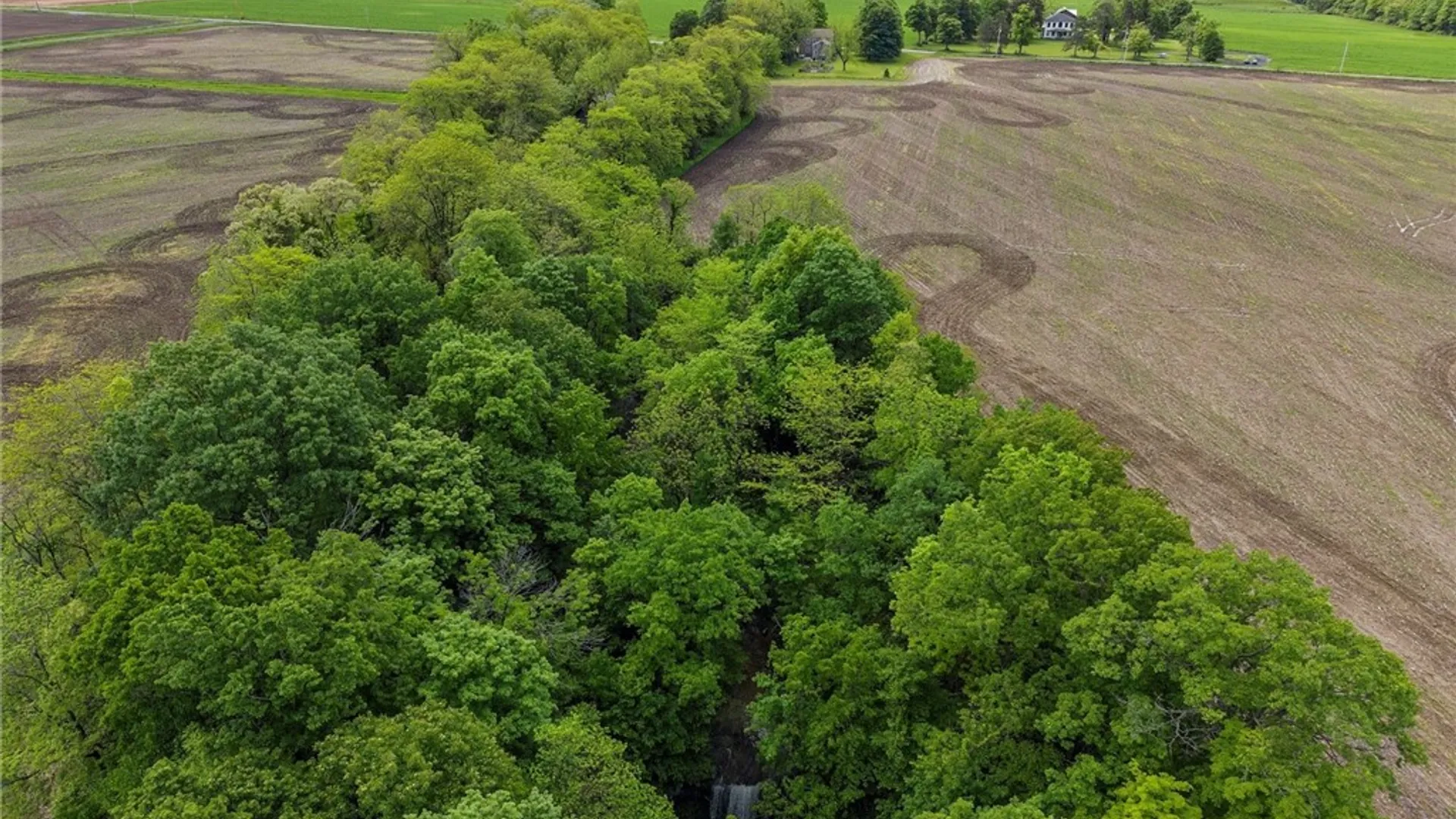 Property at 901 Sherwood Road, Ledyard, NY 13026 50