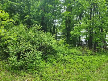 Property at 00 Owls Nest Drive, Theresa, NY 13691