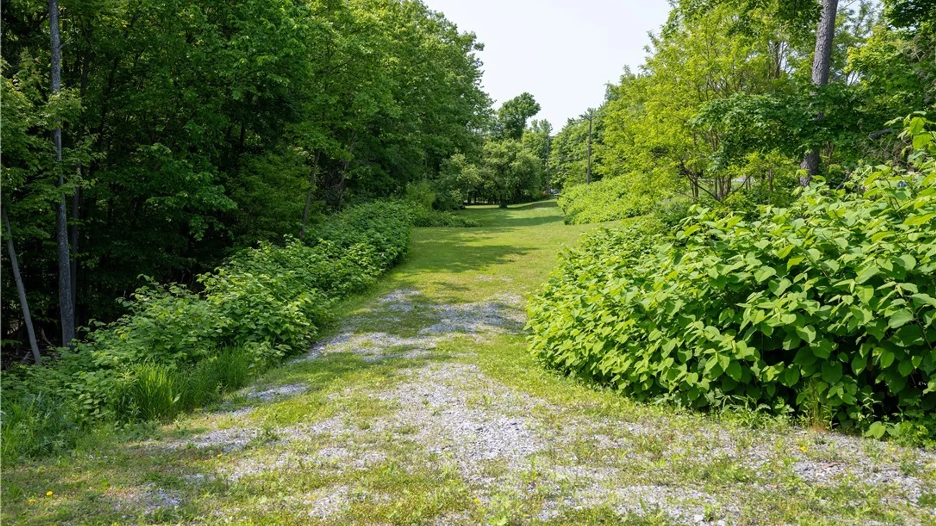 Property at V/L Davis Road, Aurora, NY 14170 2