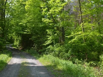 Property at 0 Caton Road, Caton, NY 14830
