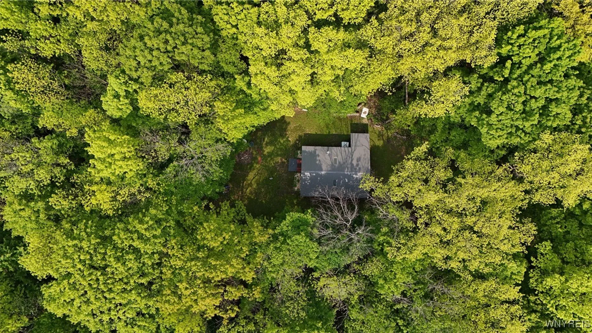 Property at 0 NYS Route 16, Ischua, NY 14743 24