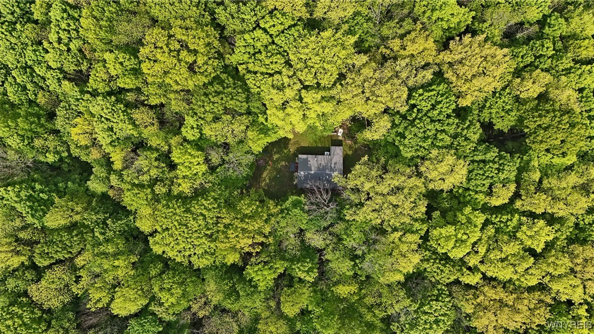 Property at 0 NYS Route 16, Ischua, NY 14743 25