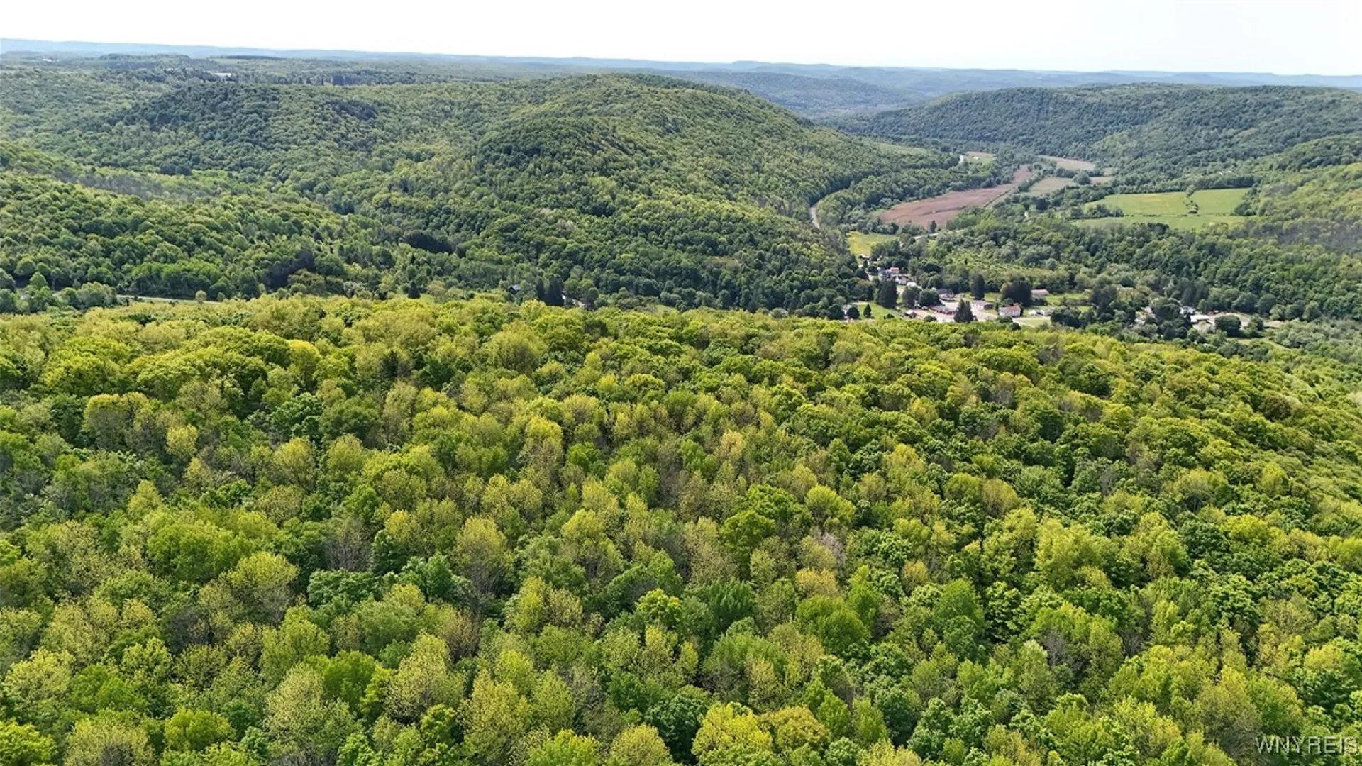 Property at 0 NYS Route 16, Ischua, NY 14743 26