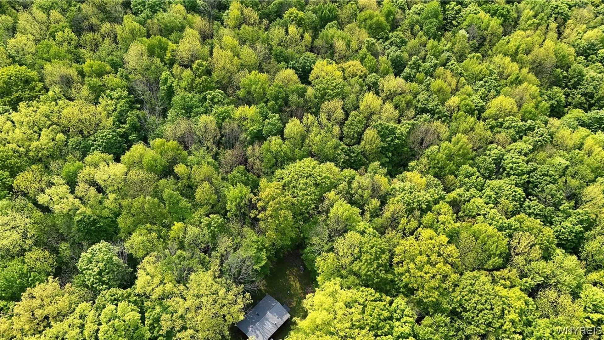 Property at 0 NYS Route 16, Ischua, NY 14743 27