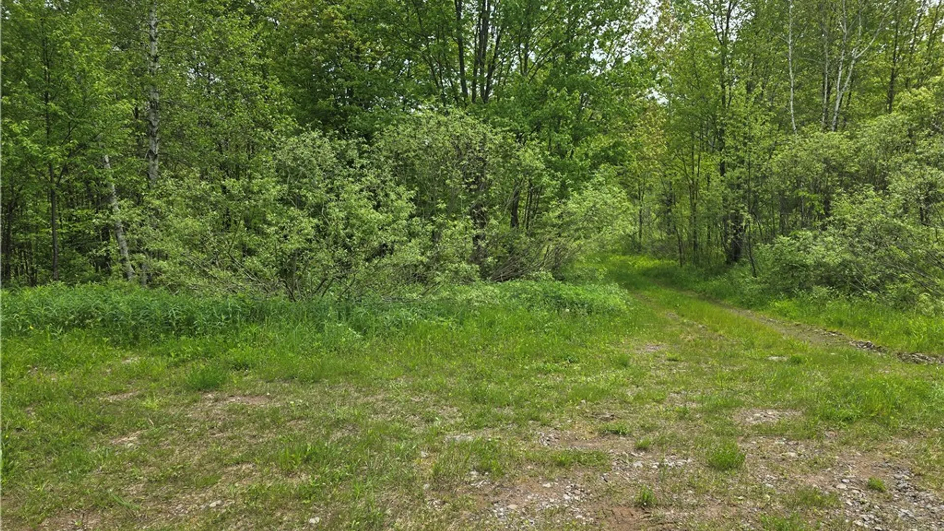 Property at Westdale Road, Florence, NY 13316 10