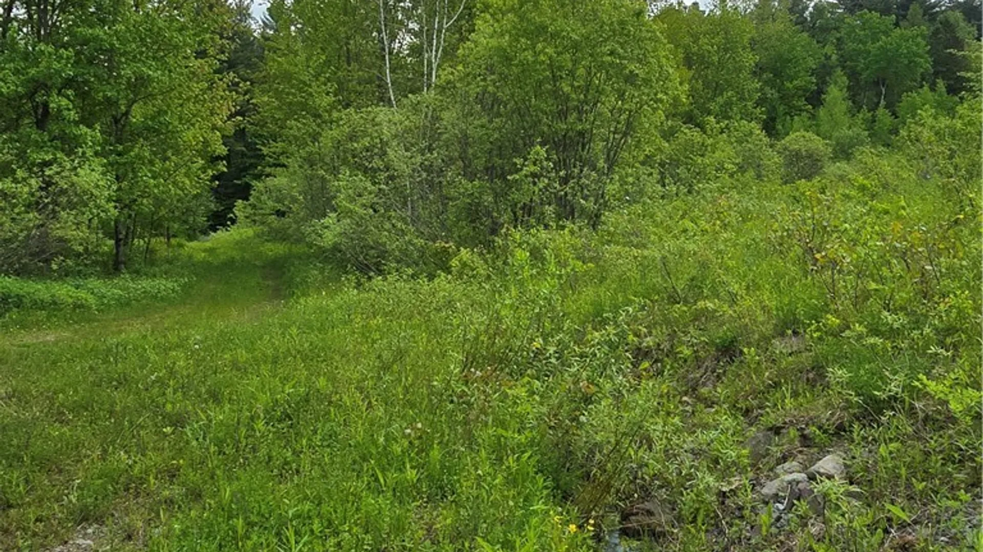 Property at Westdale Road, Florence, NY 13316 31