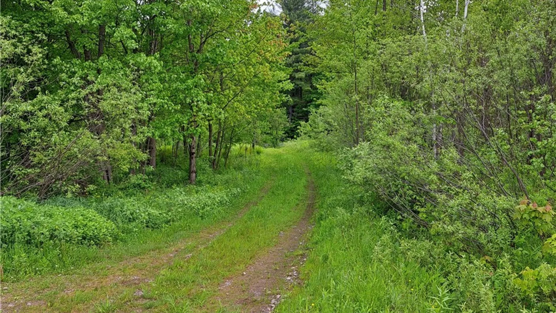 Property at Westdale Road, Florence, NY 13316 32