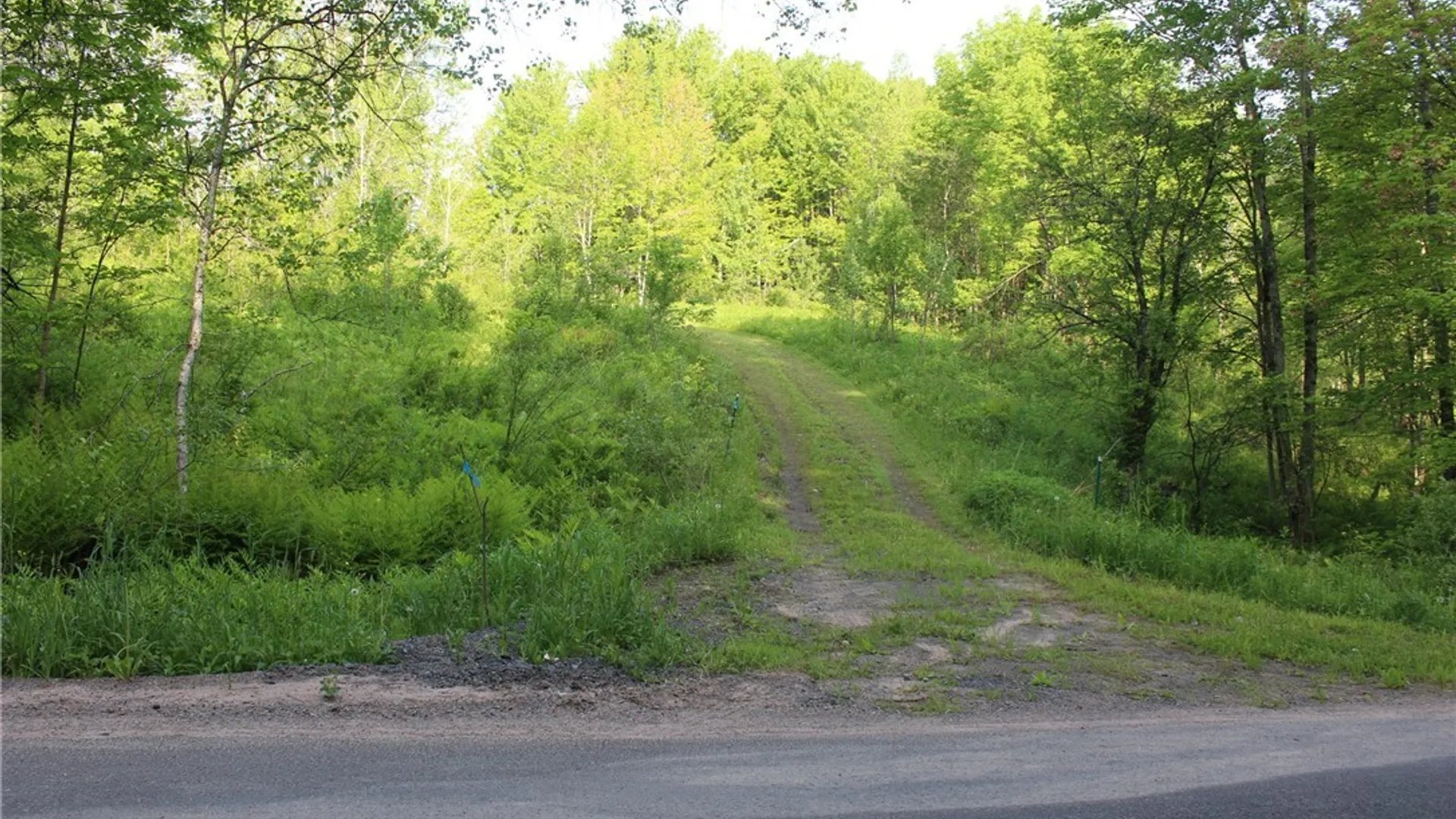 Property at Westdale Road, Florence, NY 13316 9