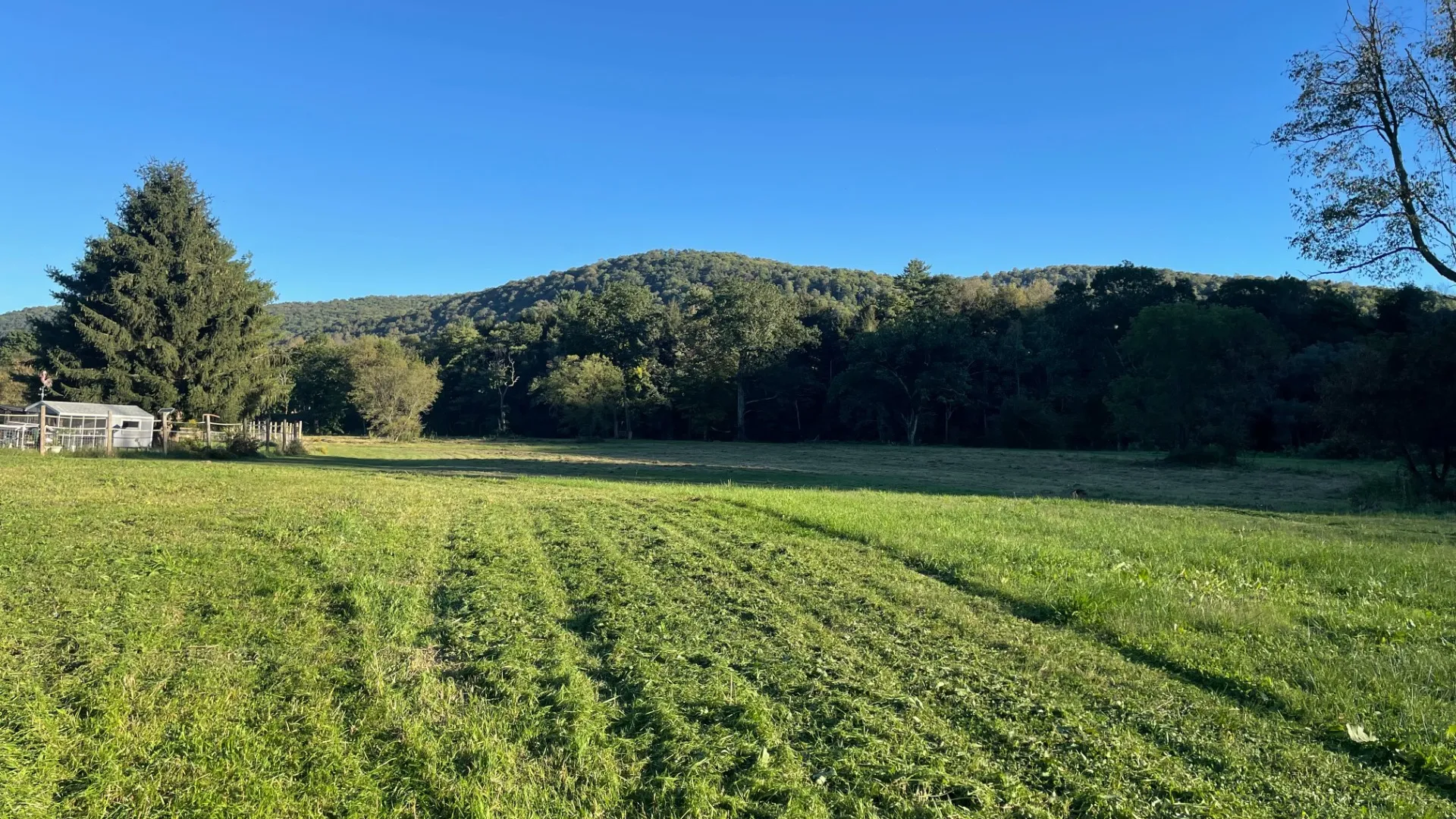 Property at 12 Evans Rd., Hancock, NY 13783 13