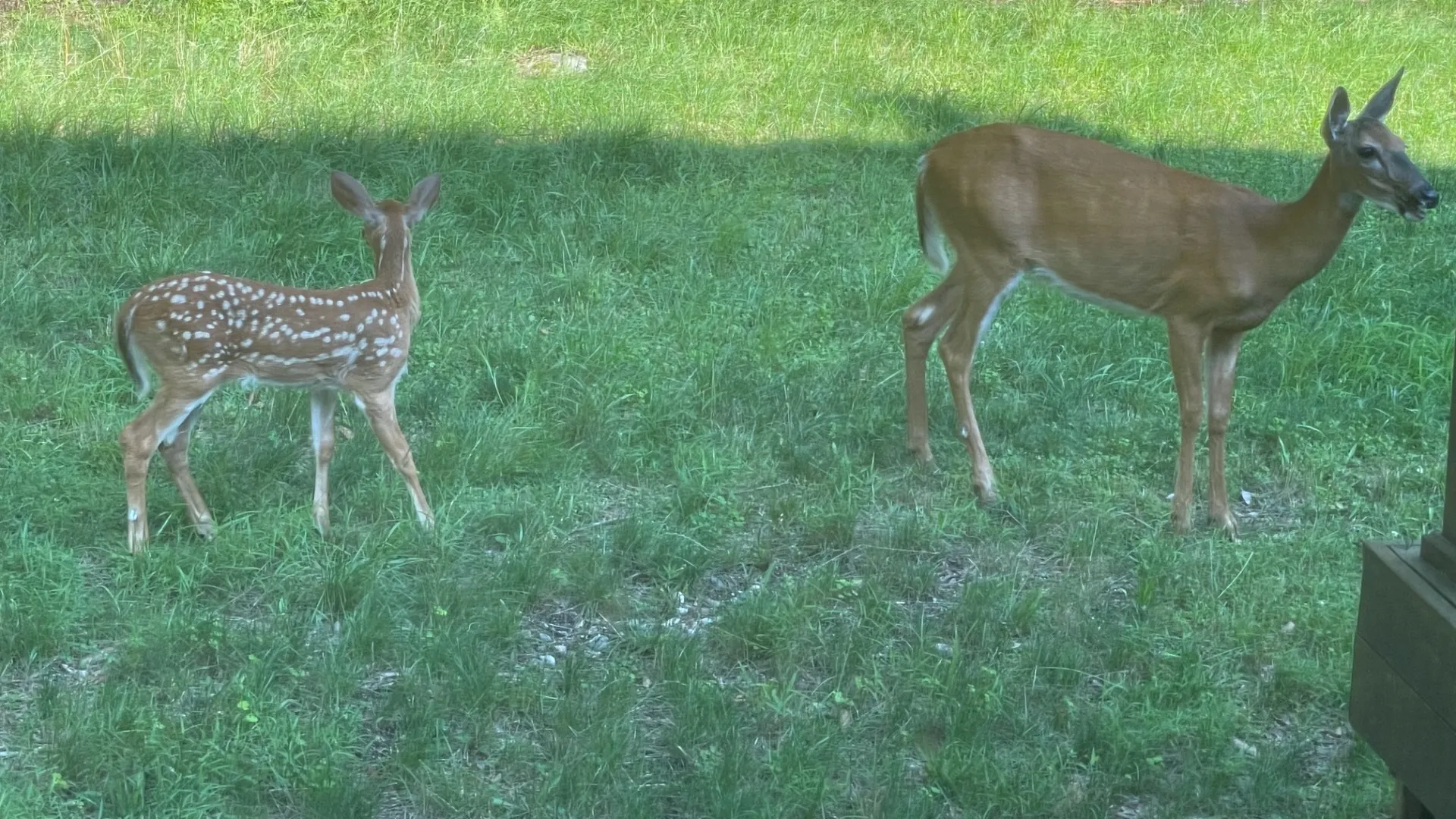 Property at 12 Evans Rd., Hancock, NY 13783 14