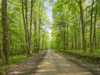 Property at L22.22 Mud Road, Laurens, NY 13825