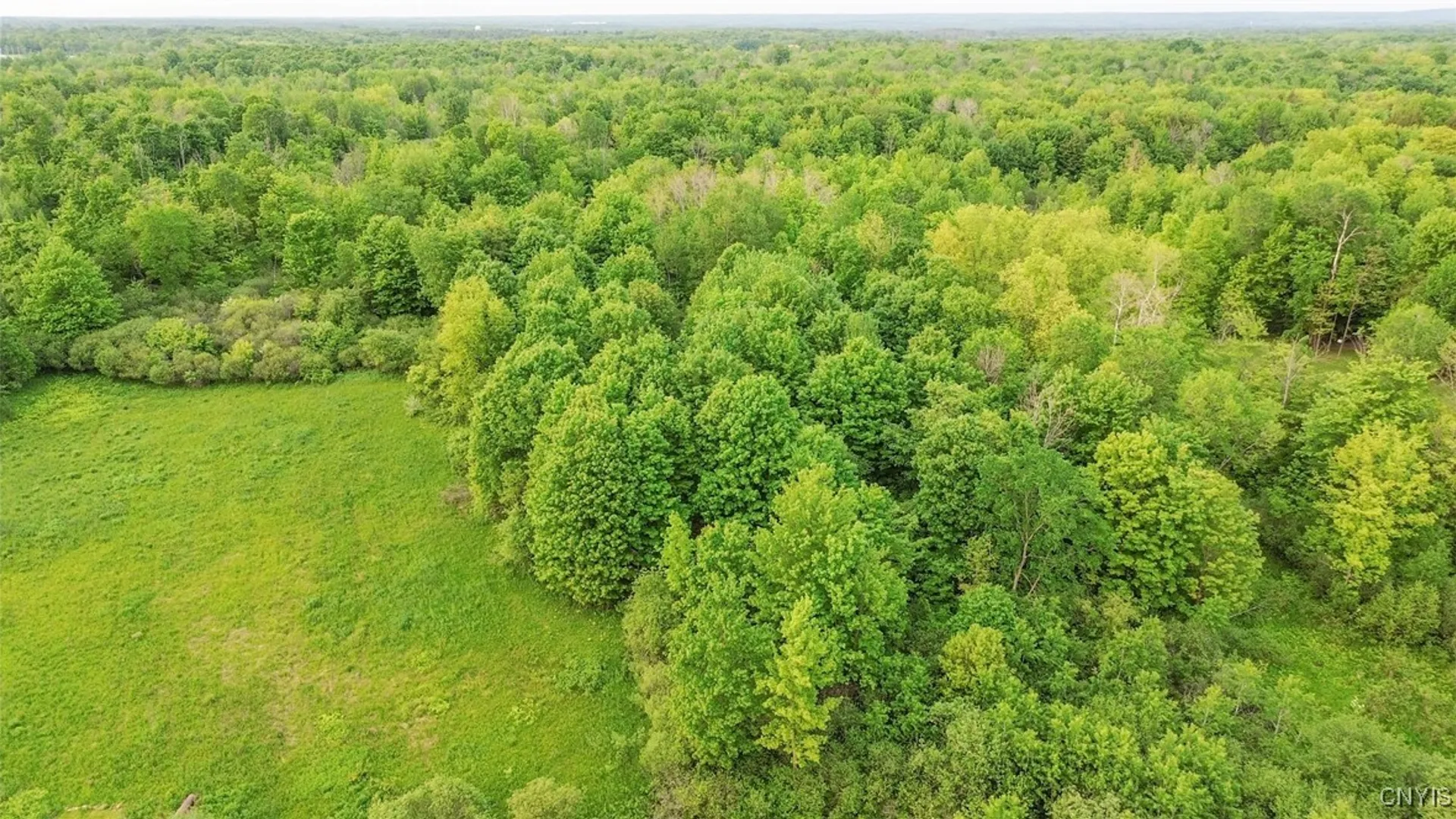 Property at Halsey Rd Road, Richland, NY 13142 10